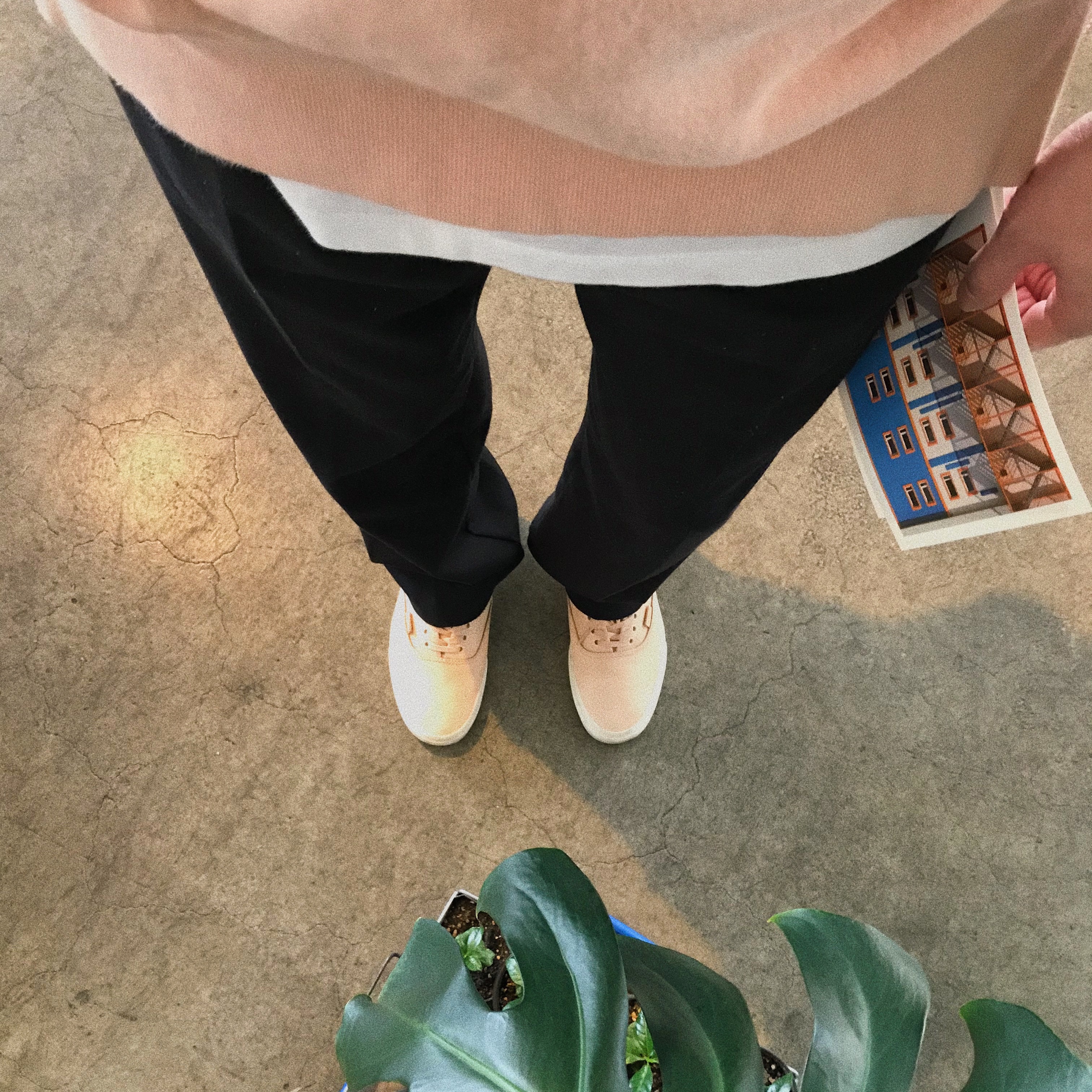 Vans Authentic DX Veggie Tan Leather 착용 스타일