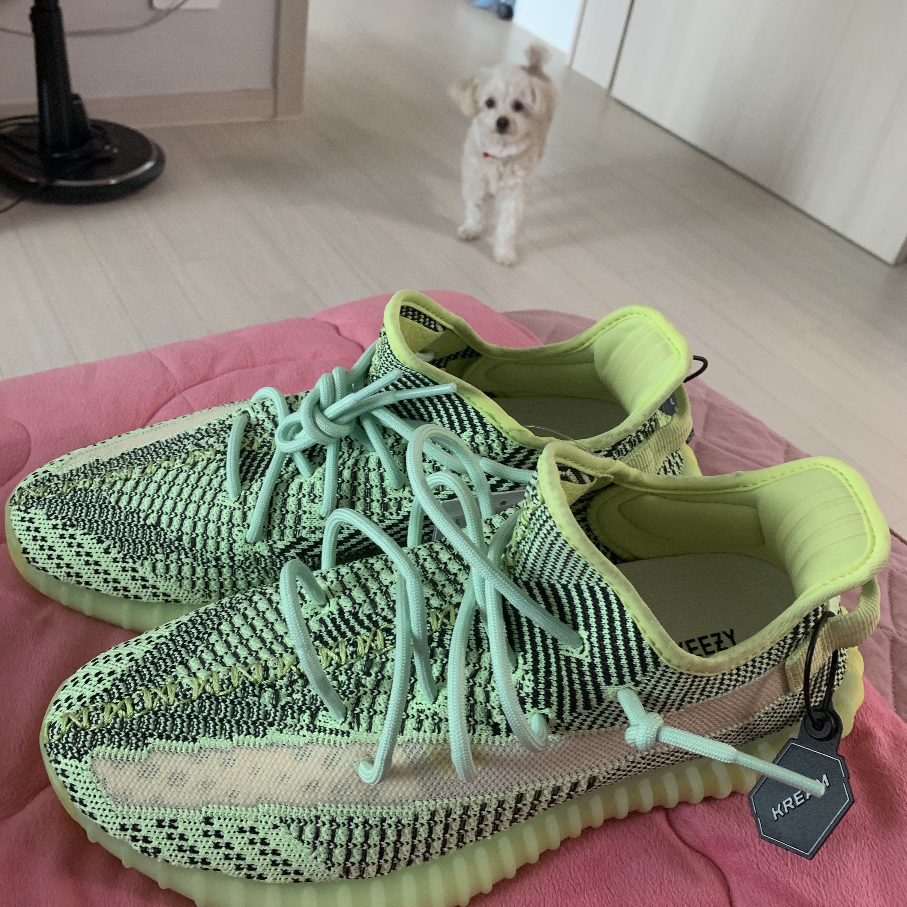 Adidas Yeezy Boost 350 V2 Yeezreel - Non-Reflective 착용 스타일 - 2