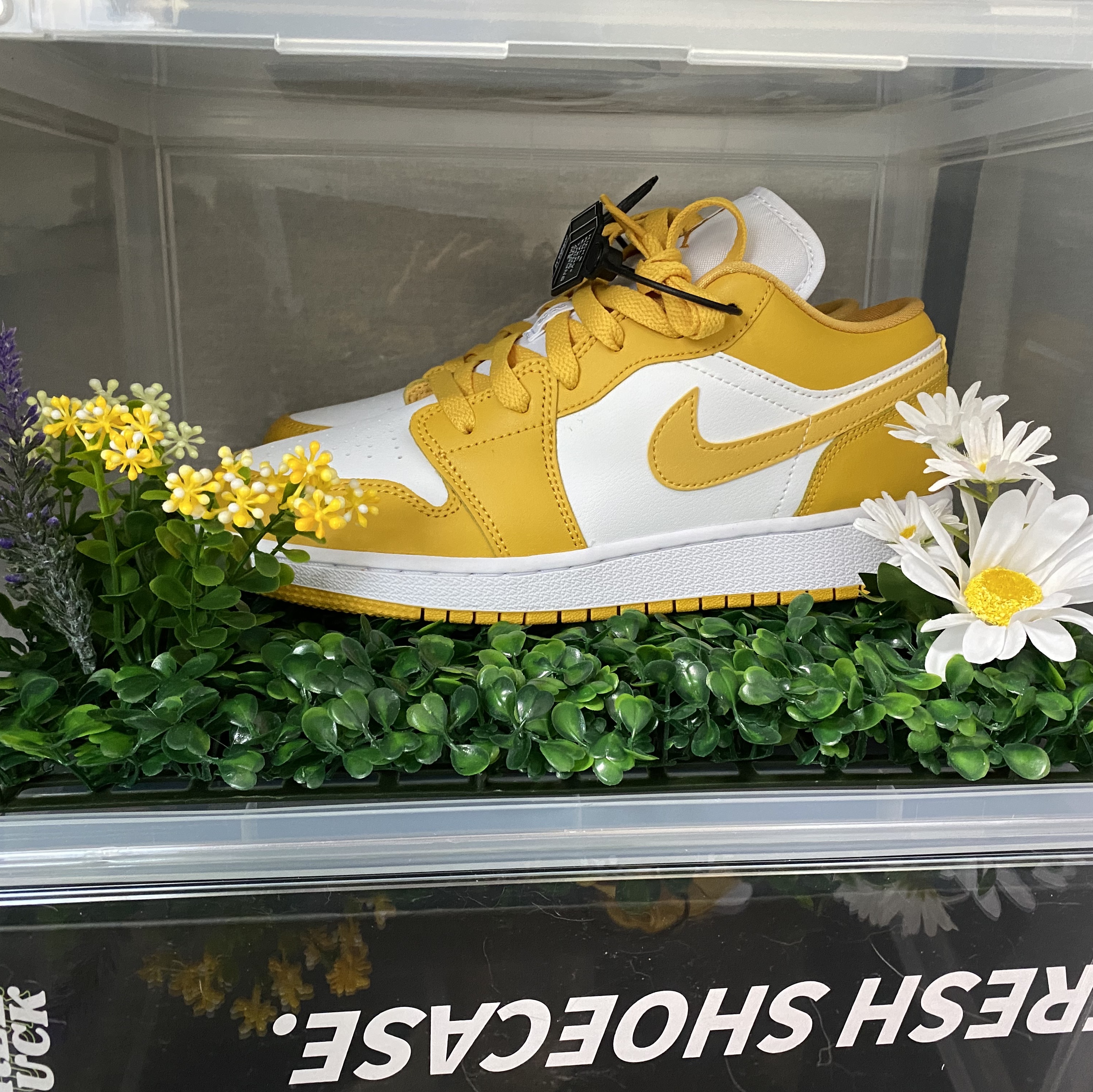 (GS) Jordan 1 Low Pollen, Jordan 1 Low Pollen 착용 스타일 - 3