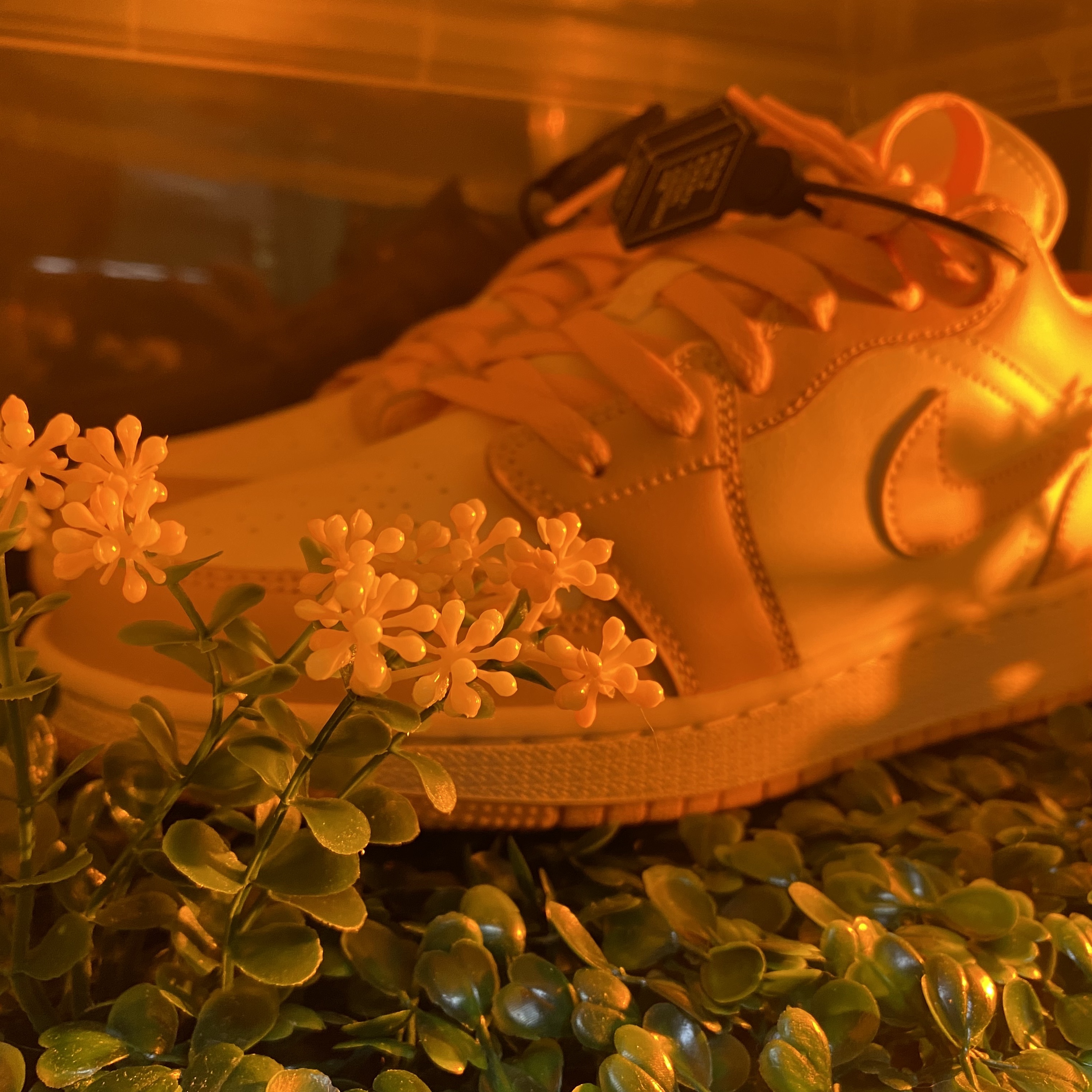 (GS) Jordan 1 Low Pollen, Jordan 1 Low Pollen 착용 스타일 - 2