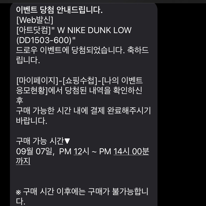 (W) Nike Dunk Low Light Soft Pink, (GS) Nike Dunk Low Black 착용 스타일 - 2