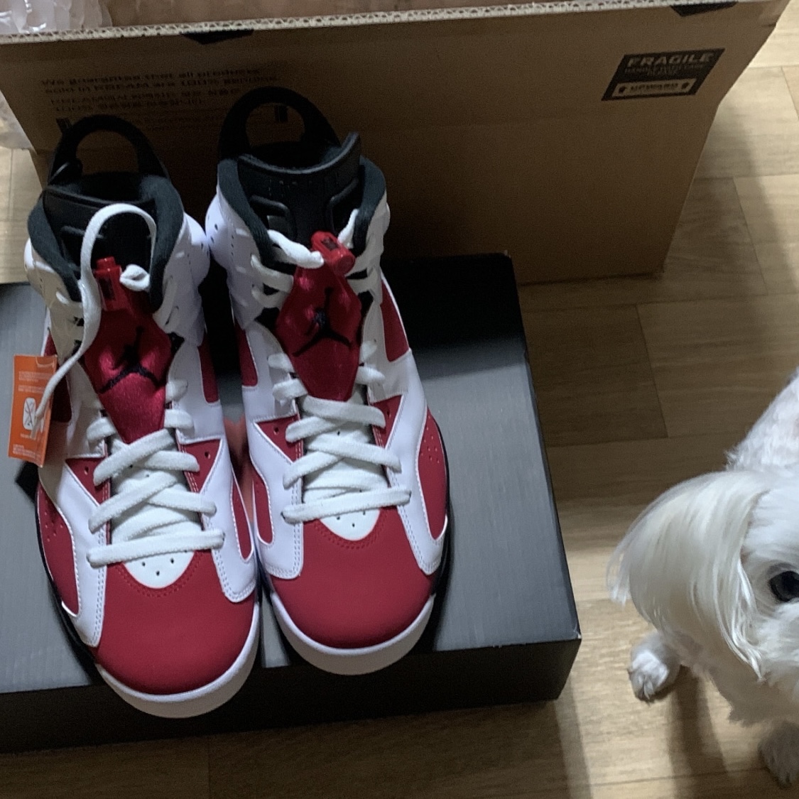Jordan 6 Retro Carmine 2021 착용 스타일 - 1