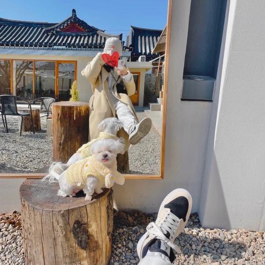 스타일 카드