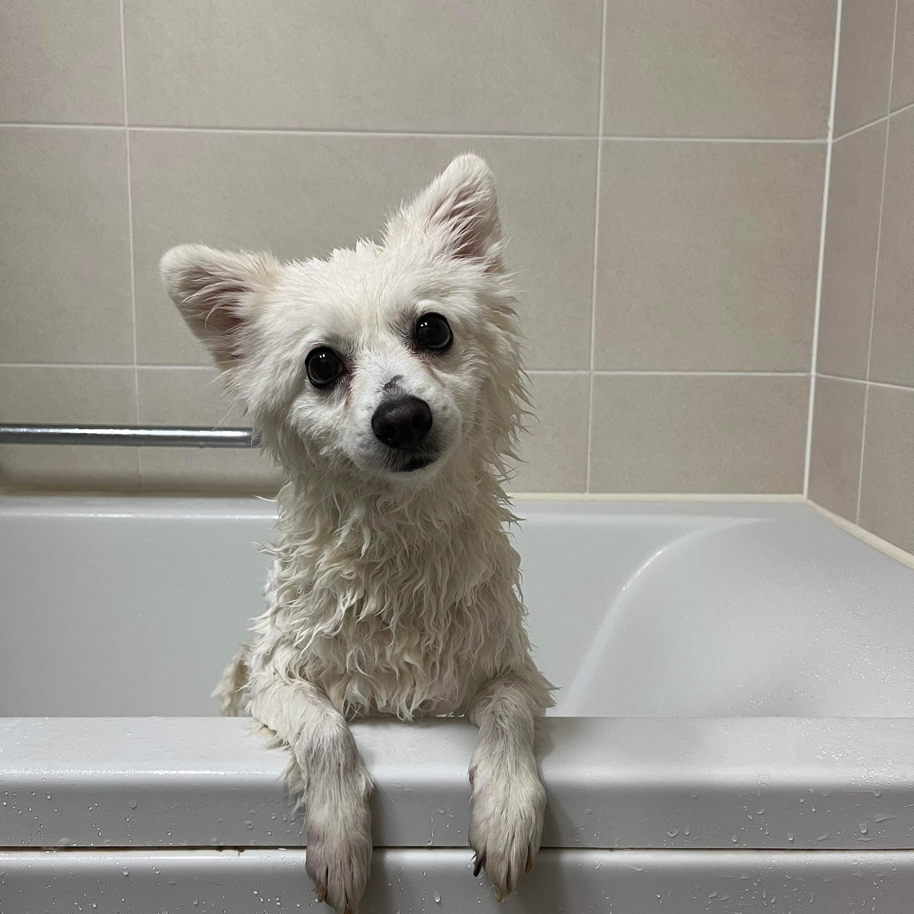 김우연님의 스타일 - 2