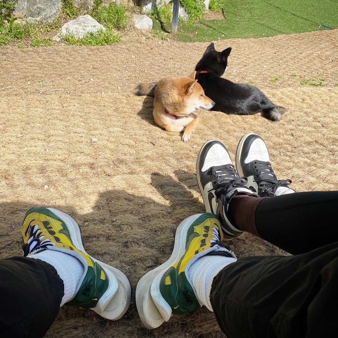 Nike x Sacai VaporWaffle Tour Yellow & Gorge Green Sail, (GS) Jordan 1 Retro High OG Black Mocha 착용 스타일