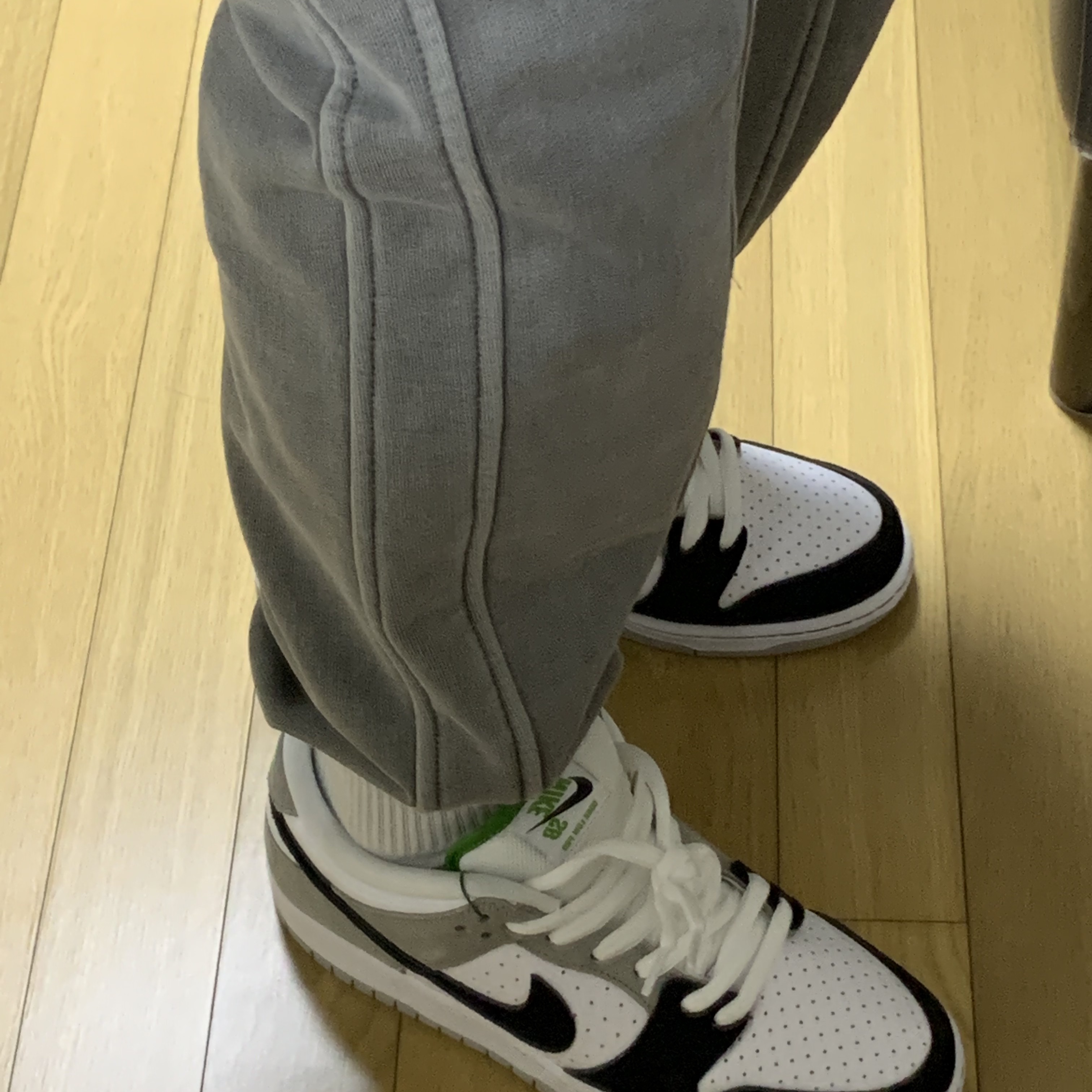 Nike SB Dunk Low Pro Chlorophyll 착용 스타일 - 5