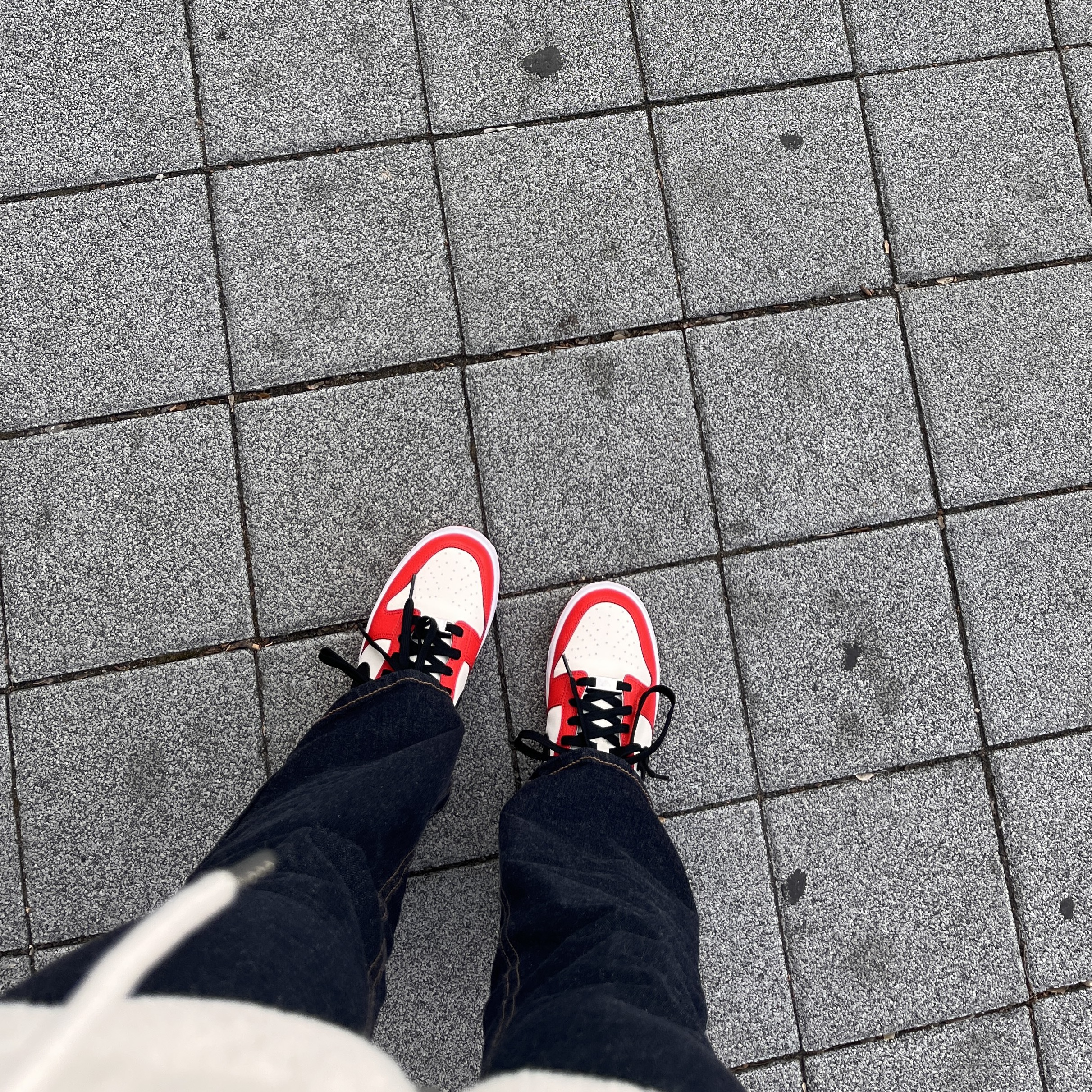 (GS) Nike x NBA Dunk Low Black and Chile Red 착용 스타일