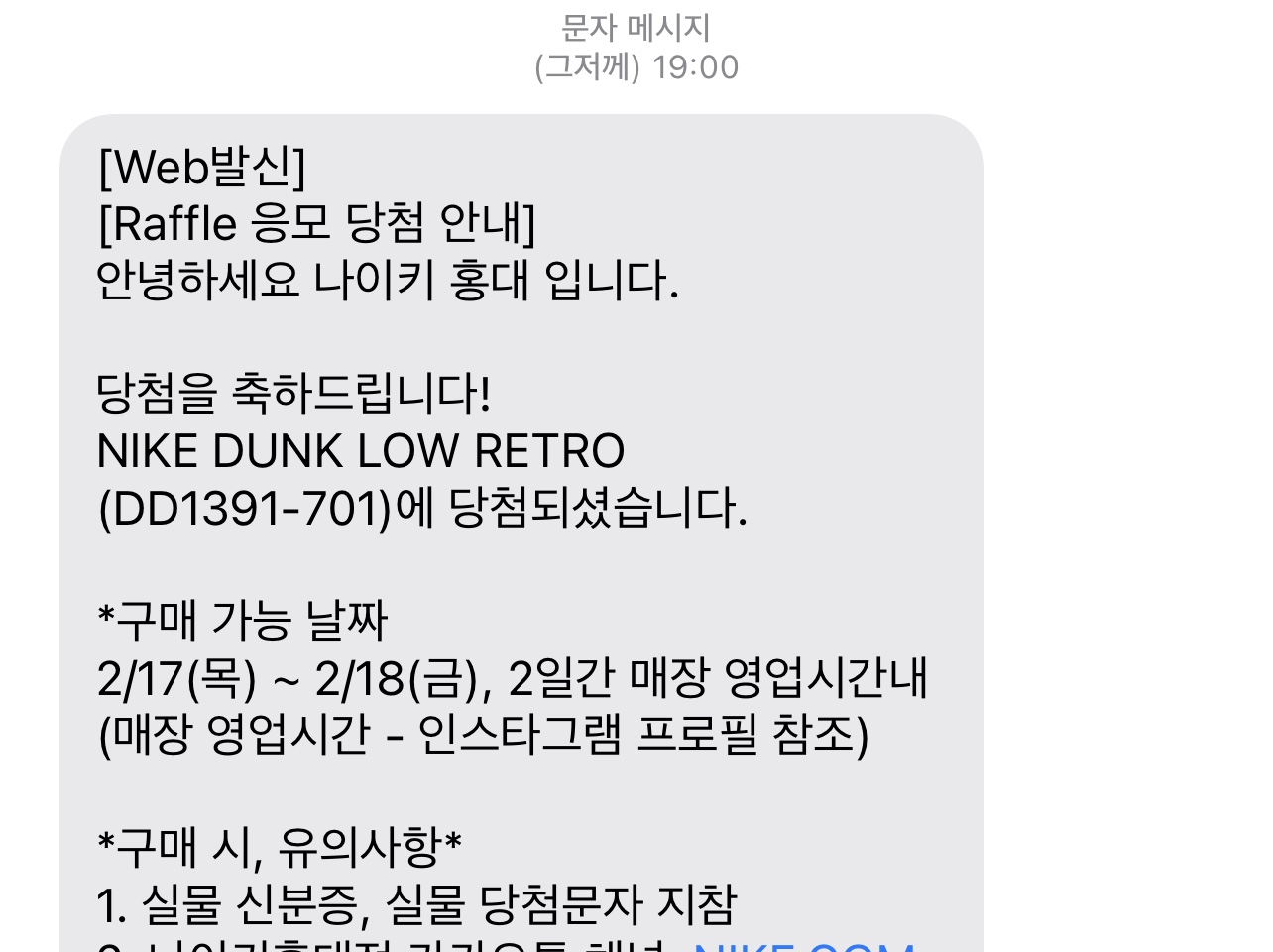 Nike Dunk Low Retro Championship Gold 착용 스타일 - 2