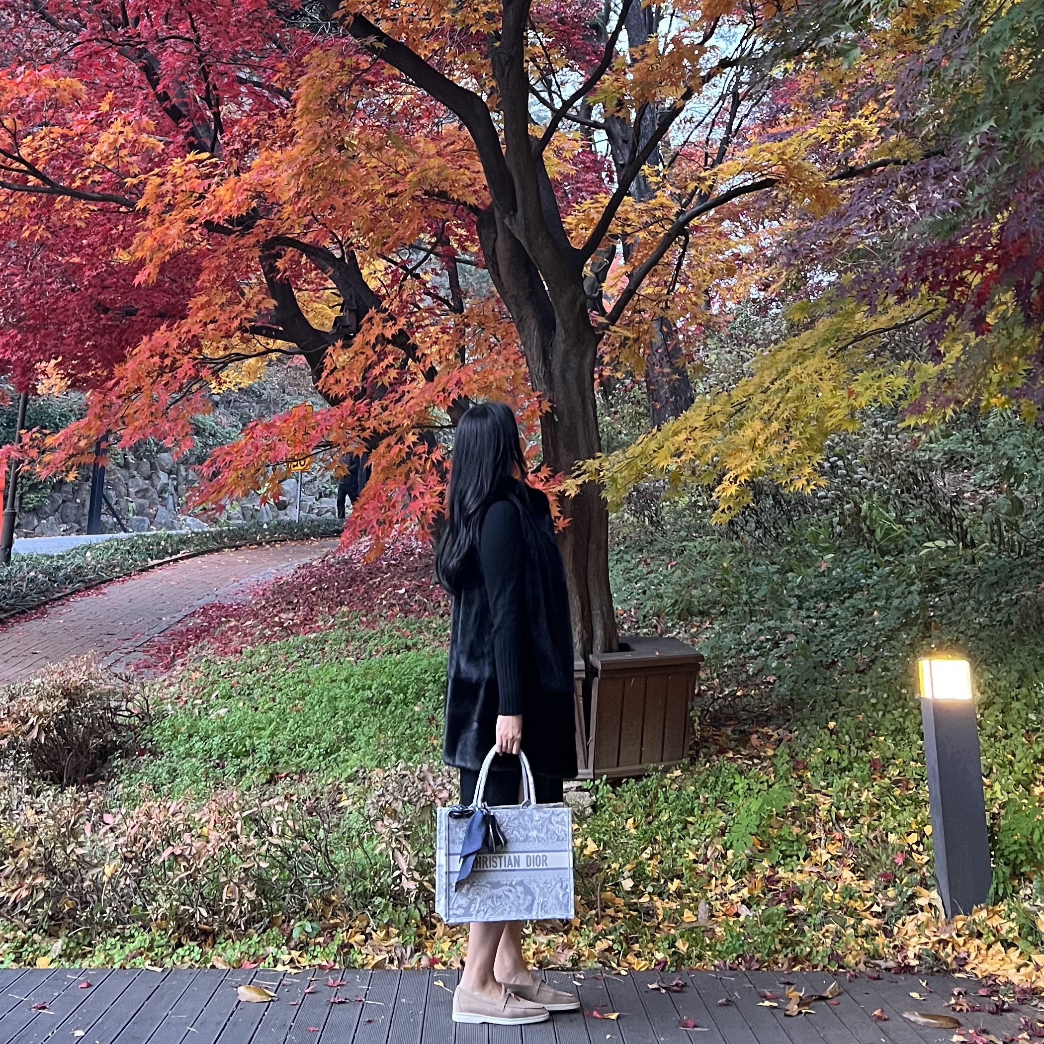 (W) Dior Oblique Mitzah Scarf Silk Twill Navy Blue, Dior Medium Book Tote Gray Toile de Jouy Embroidery 착용 스타일