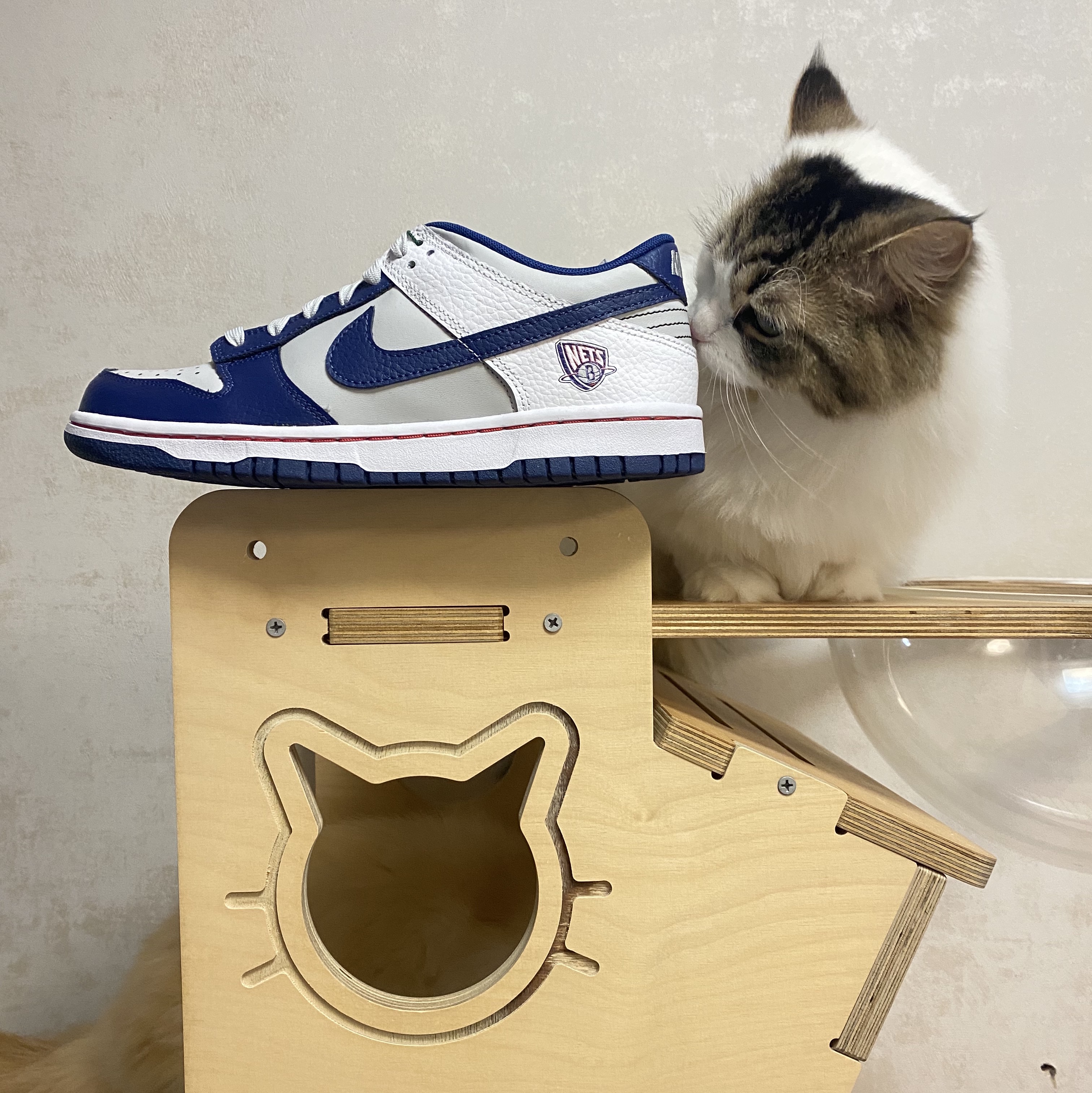 Nike x NBA Dunk Low Retro EMB Nets 착용 스타일