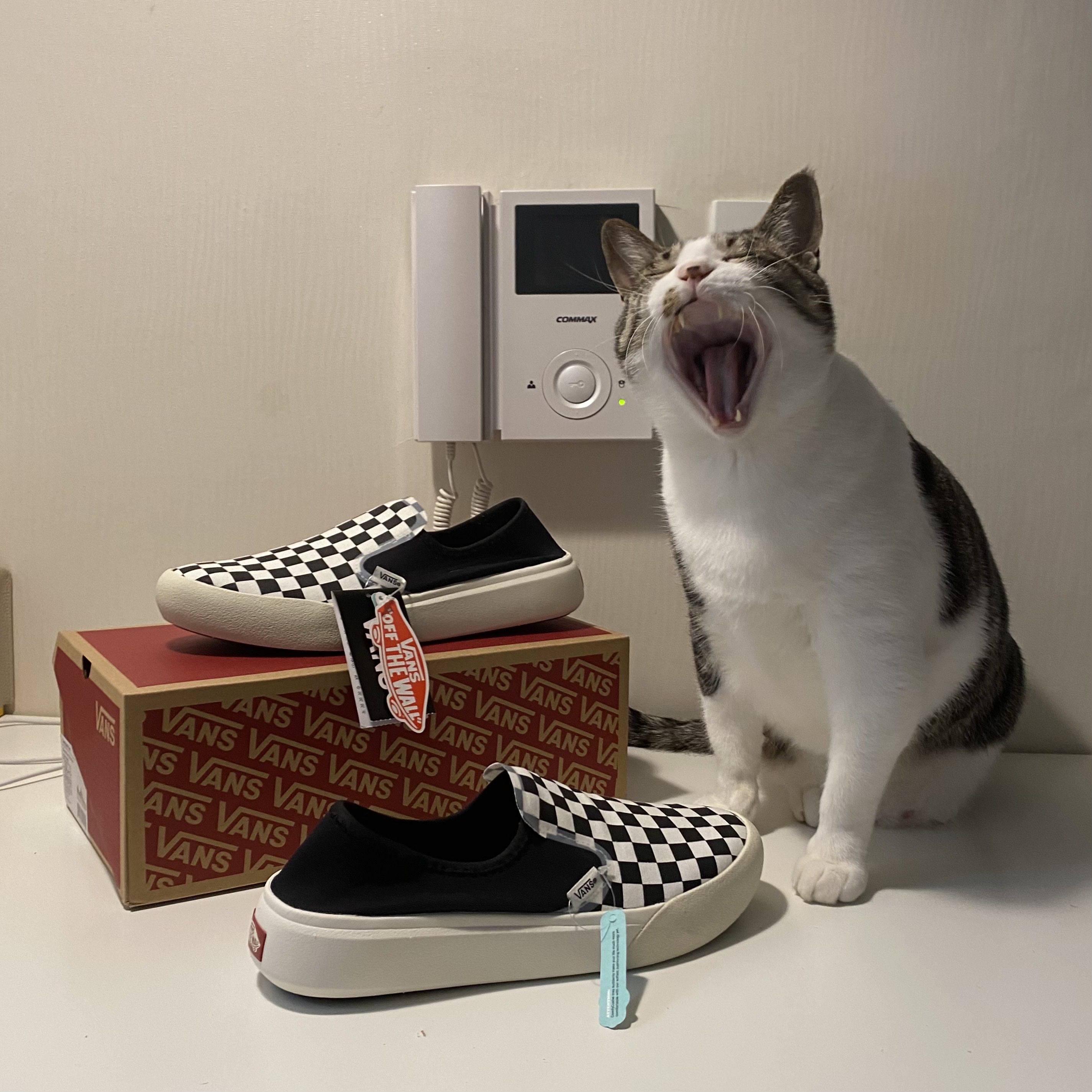 Vans Checkerboard Comfycush One Black 착용 스타일 - 1