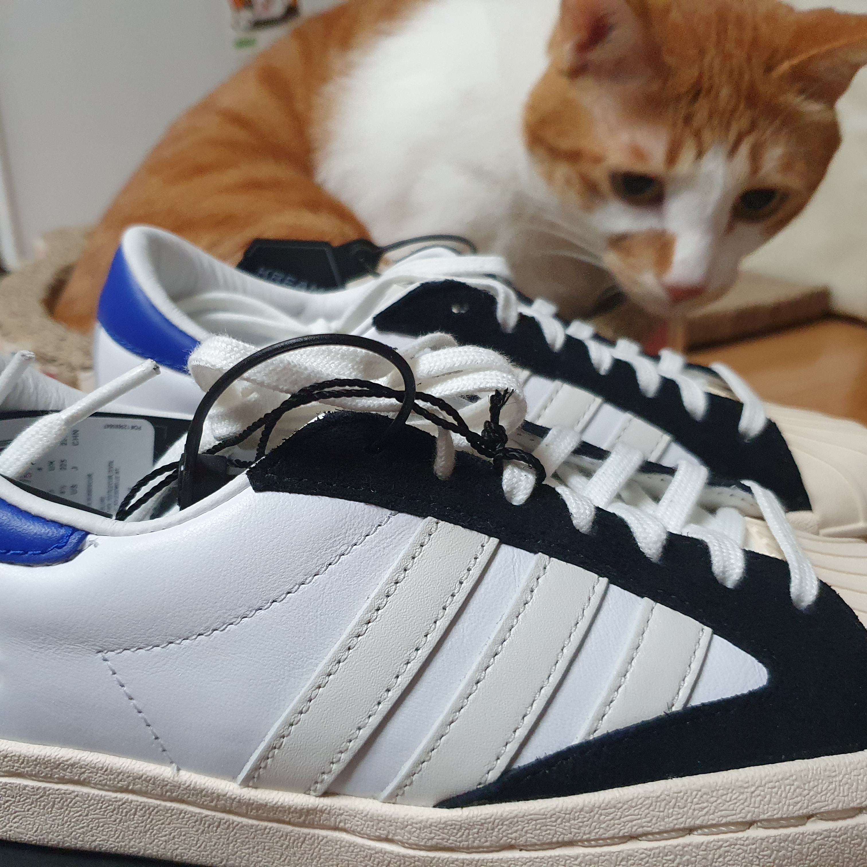 Y-3 Yohji Star Cloud White Bold Blue 착용 스타일 - 3