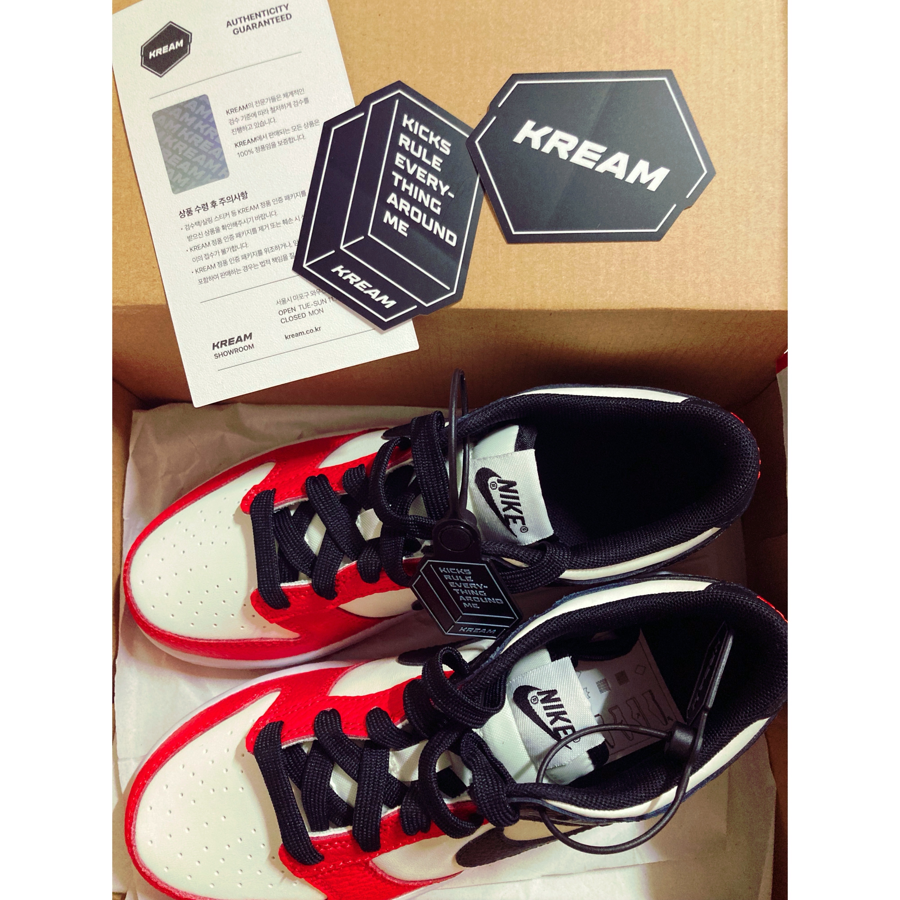 (PS) Nike x NBA Dunk Low Black and Chile Red 착용 스타일 - 1