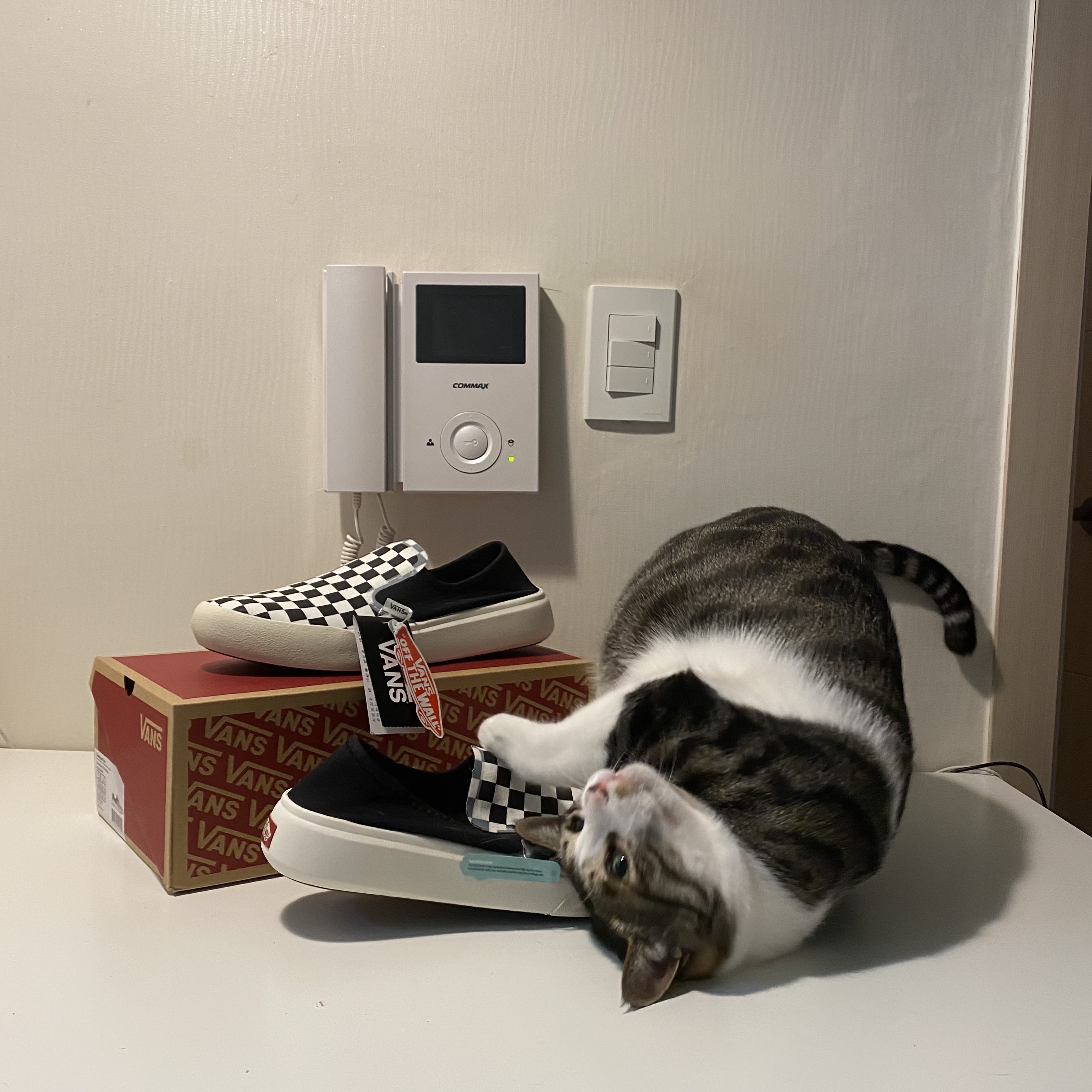 Vans Checkerboard Comfycush One Black 착용 스타일 - 2