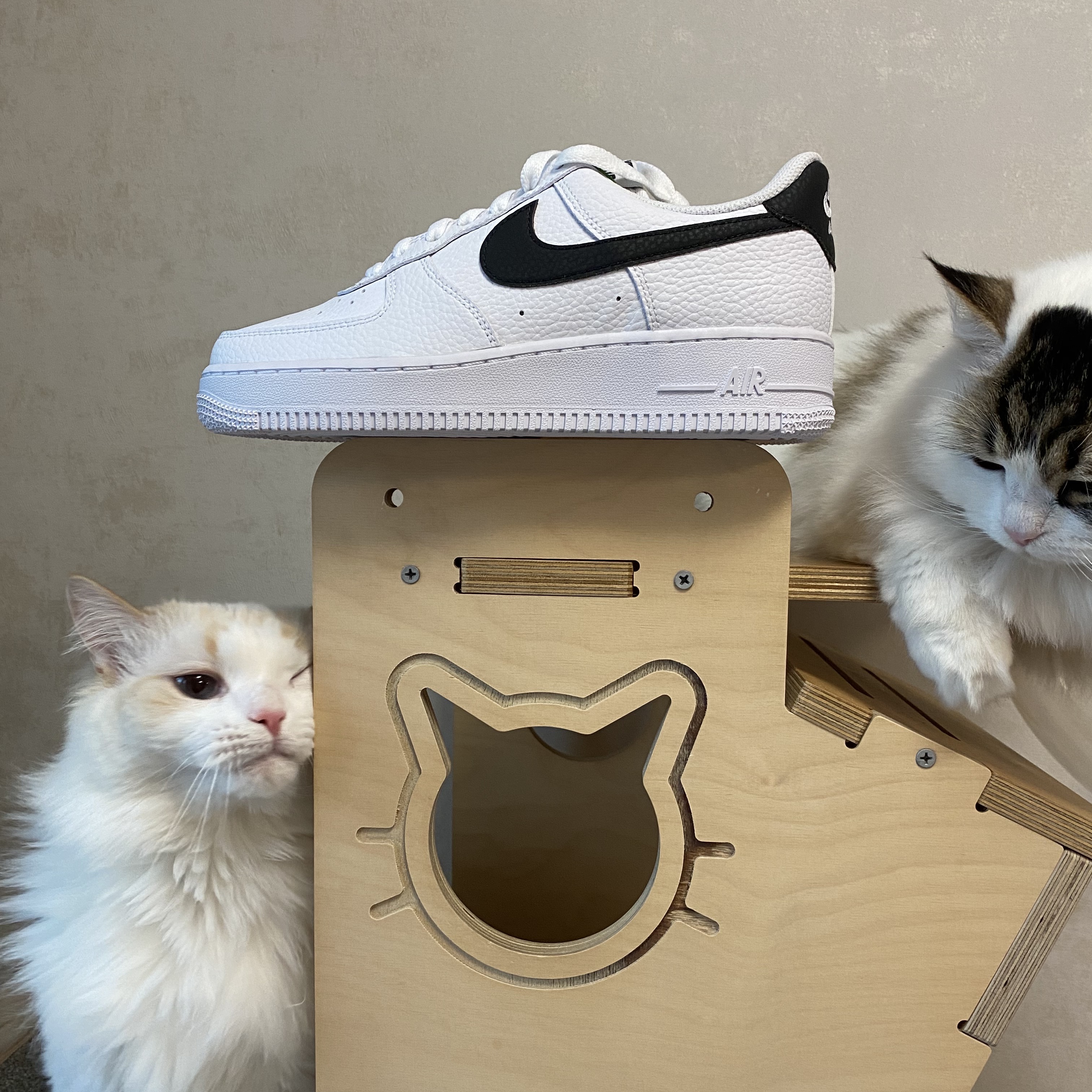 Nike Air Force 1 '07 White Black 착용 스타일