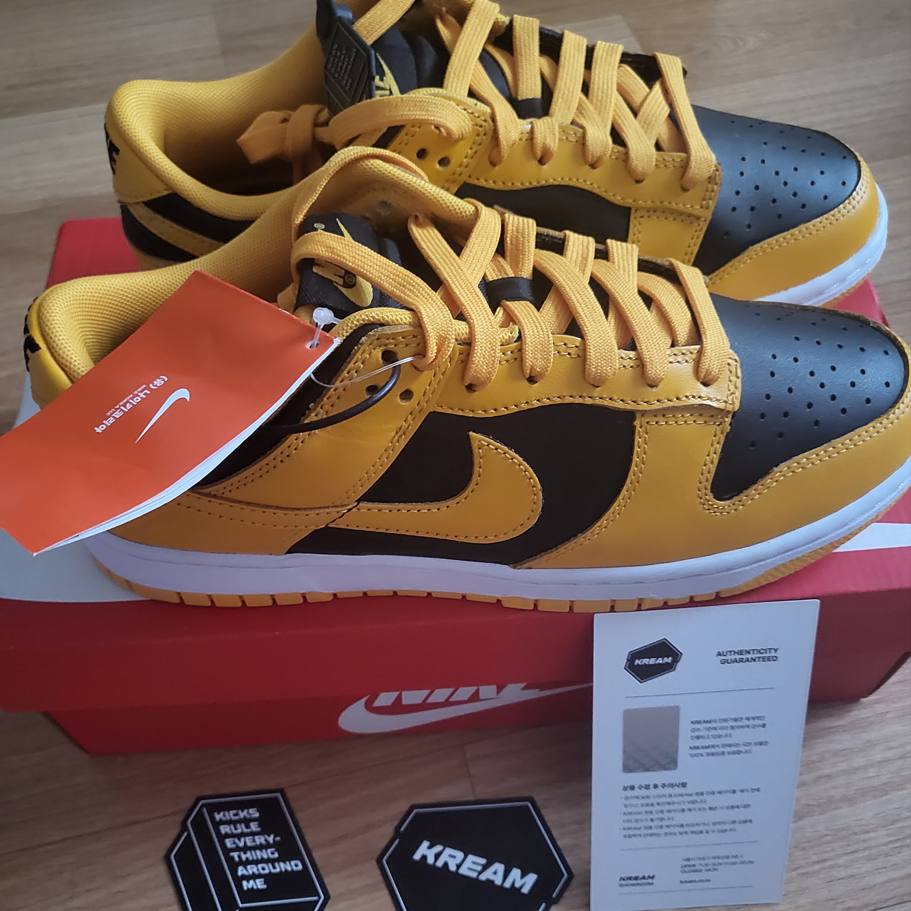 Nike Dunk Low Retro Championship Goldenrod 착용 스타일