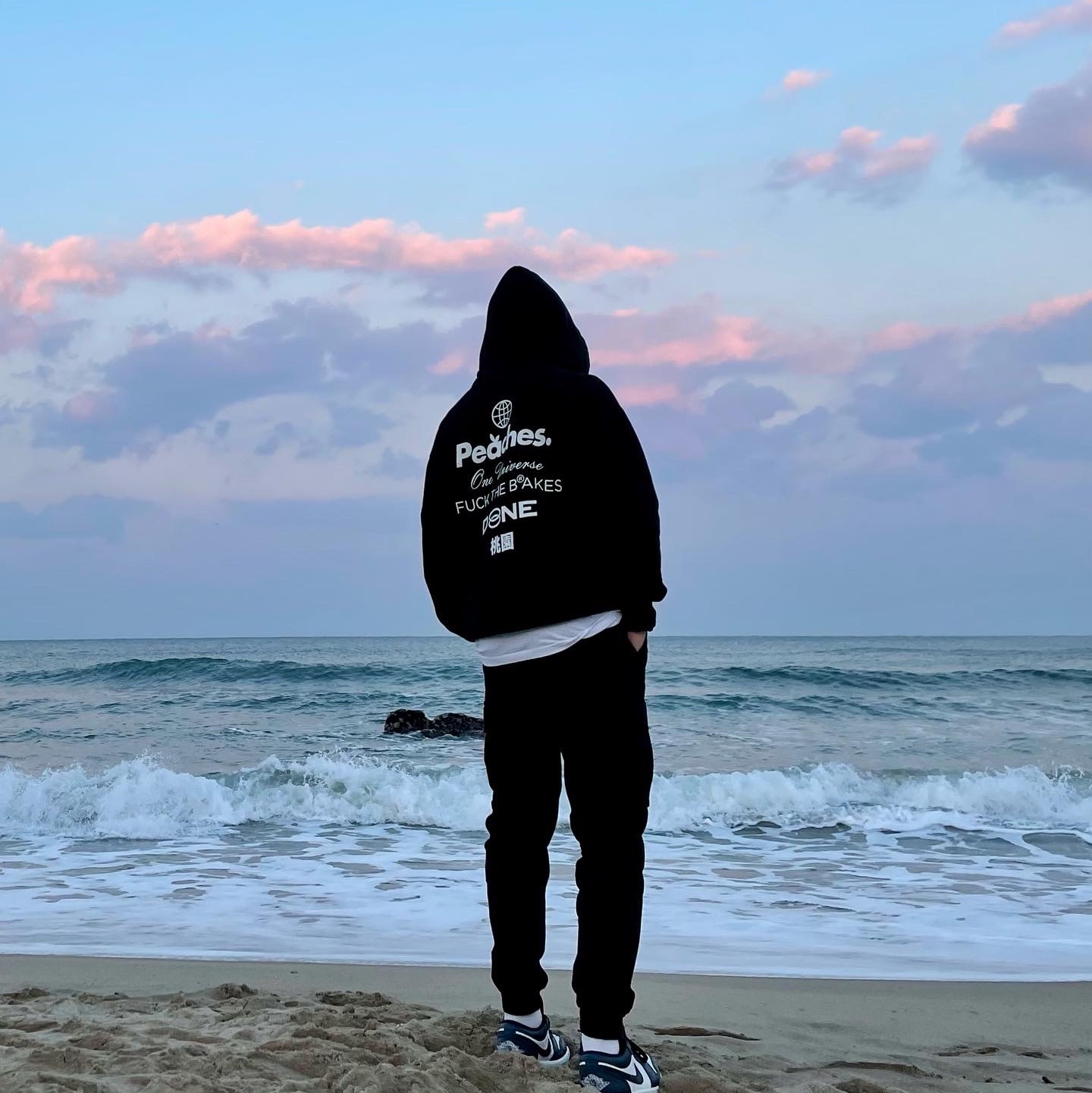 Jordan 1 Low Dark Teal, Peaches. Staple Hoodie Black 착용 스타일