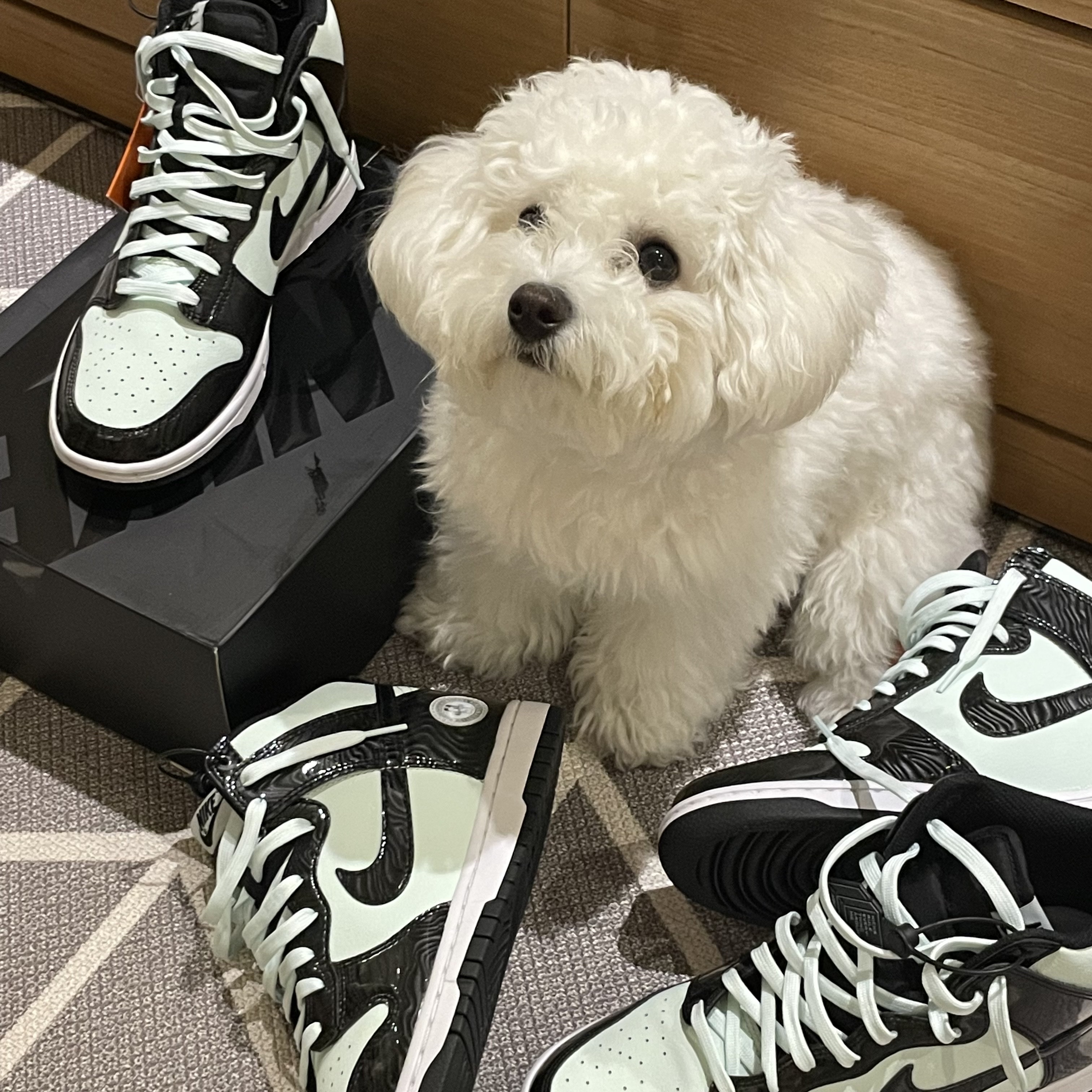 Nike Dunk High Barely Green 착용 스타일 - 1