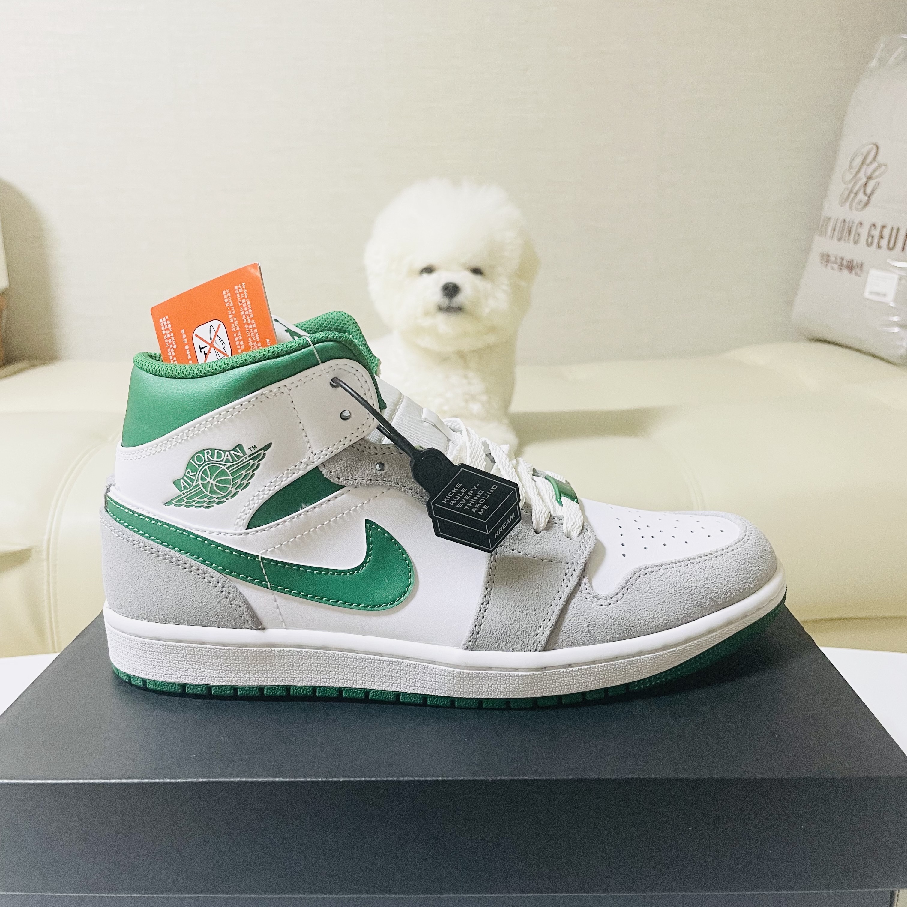 Jordan 1 Mid SE Pine Green Light Smoke Grey 착용 스타일