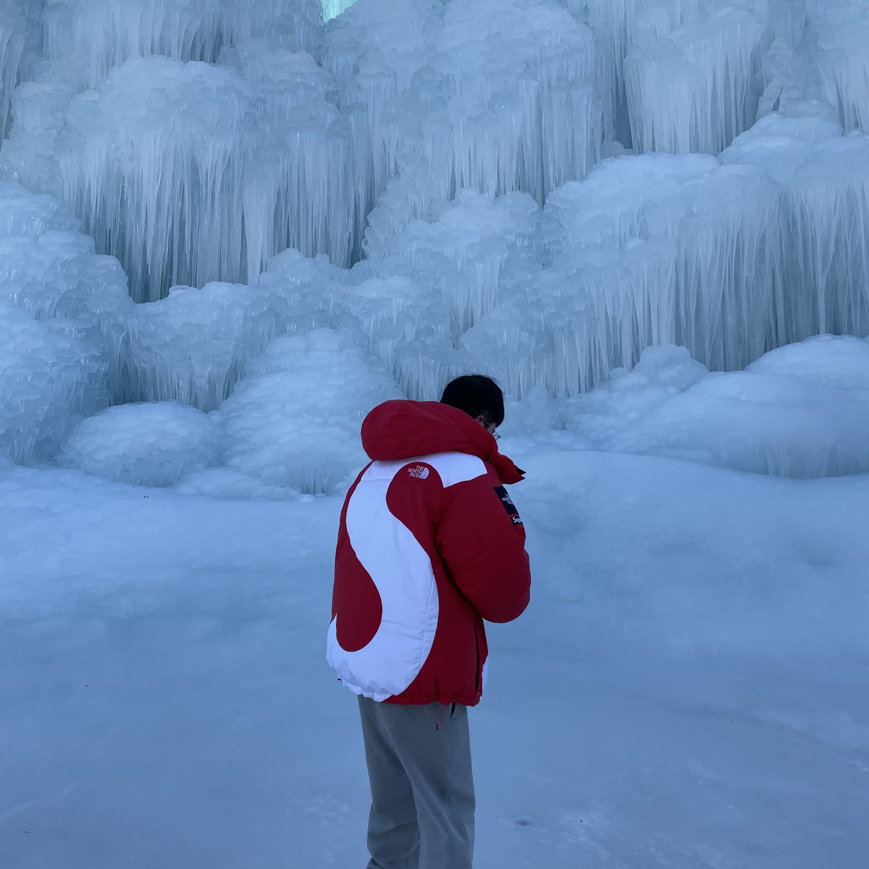 Supreme x The North Face S Logo Summit Series Himalayan Parka Red - 20FW 착용 스타일
