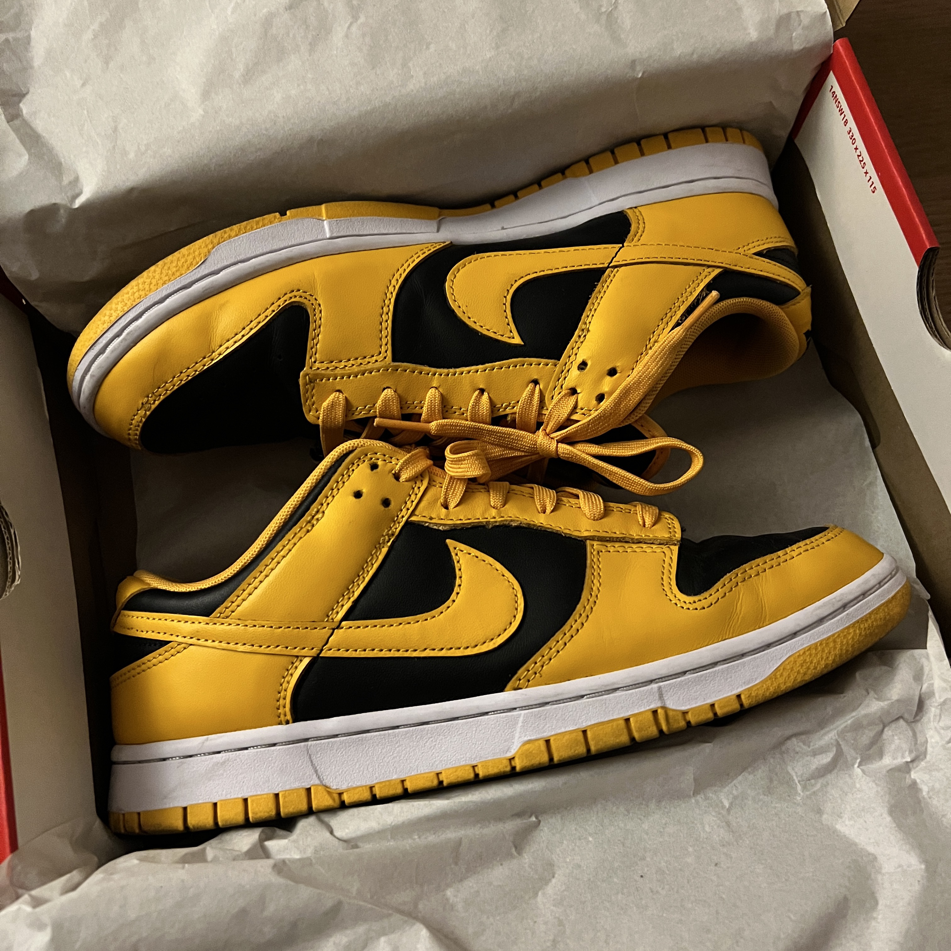 Nike Dunk Low Retro Championship Goldenrod 착용 스타일