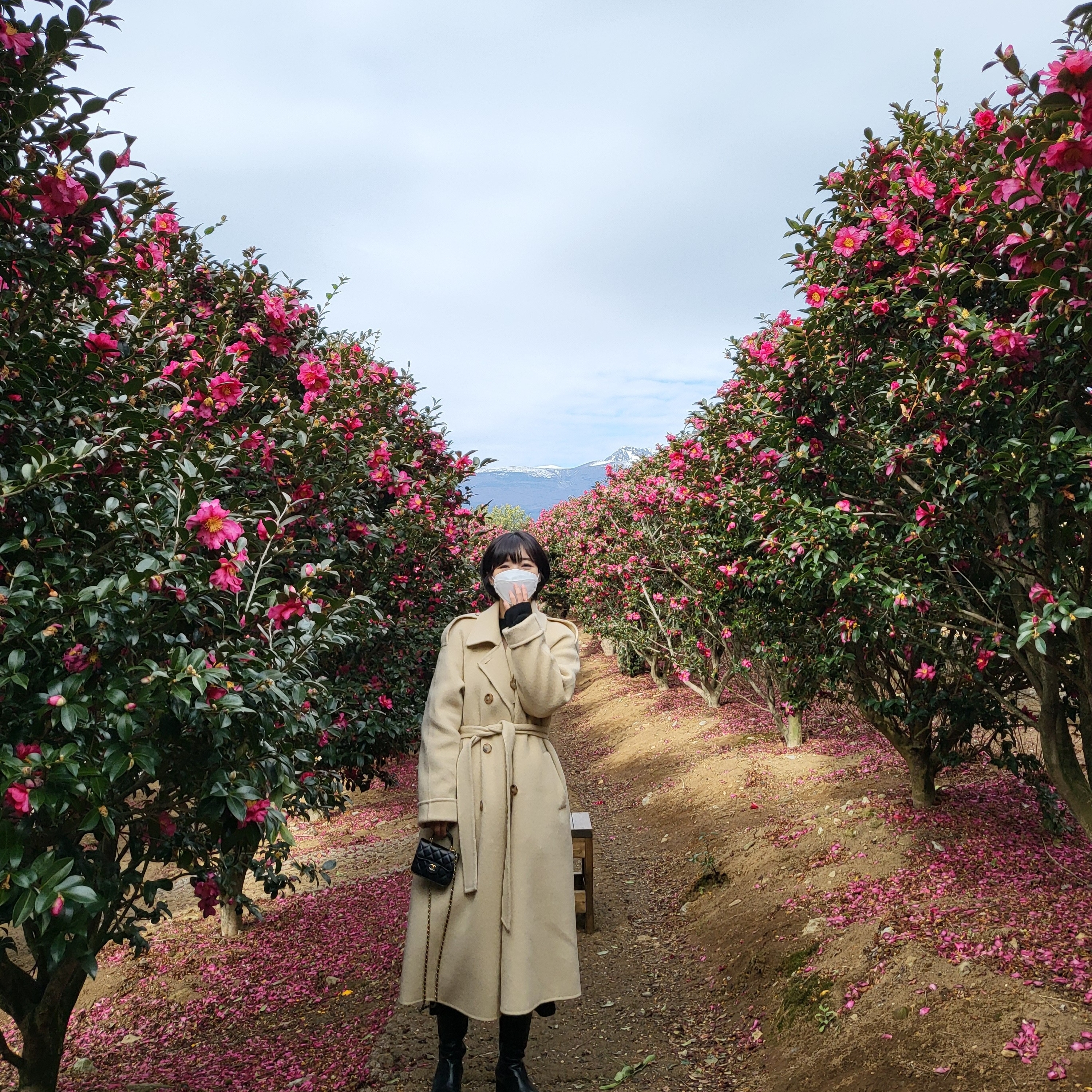 Chanel Flap Coin Purse with Chain Lambskin & Gold Black 착용 스타일