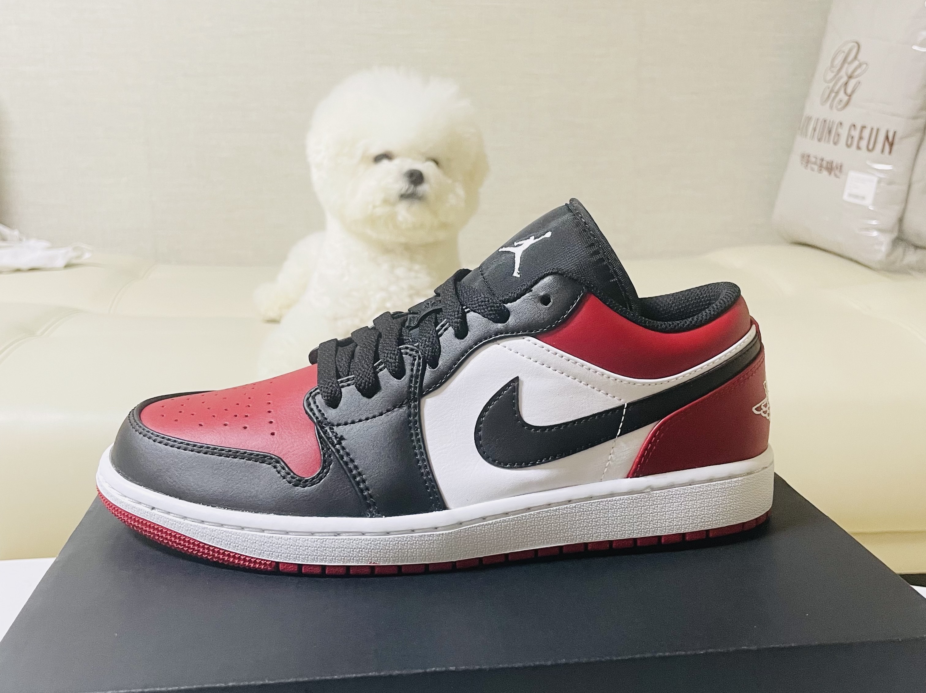 Jordan 1 Low Bred Toe 착용 스타일