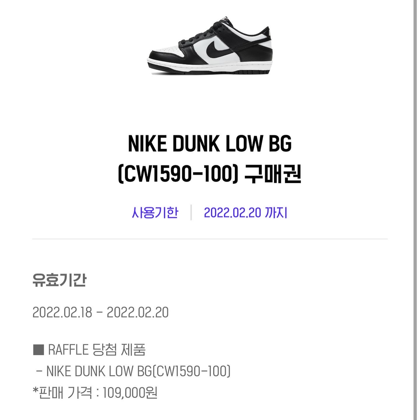 Nike Dunk Low Retro Black, (W) Nike Dunk Low Black 착용 스타일 - 1