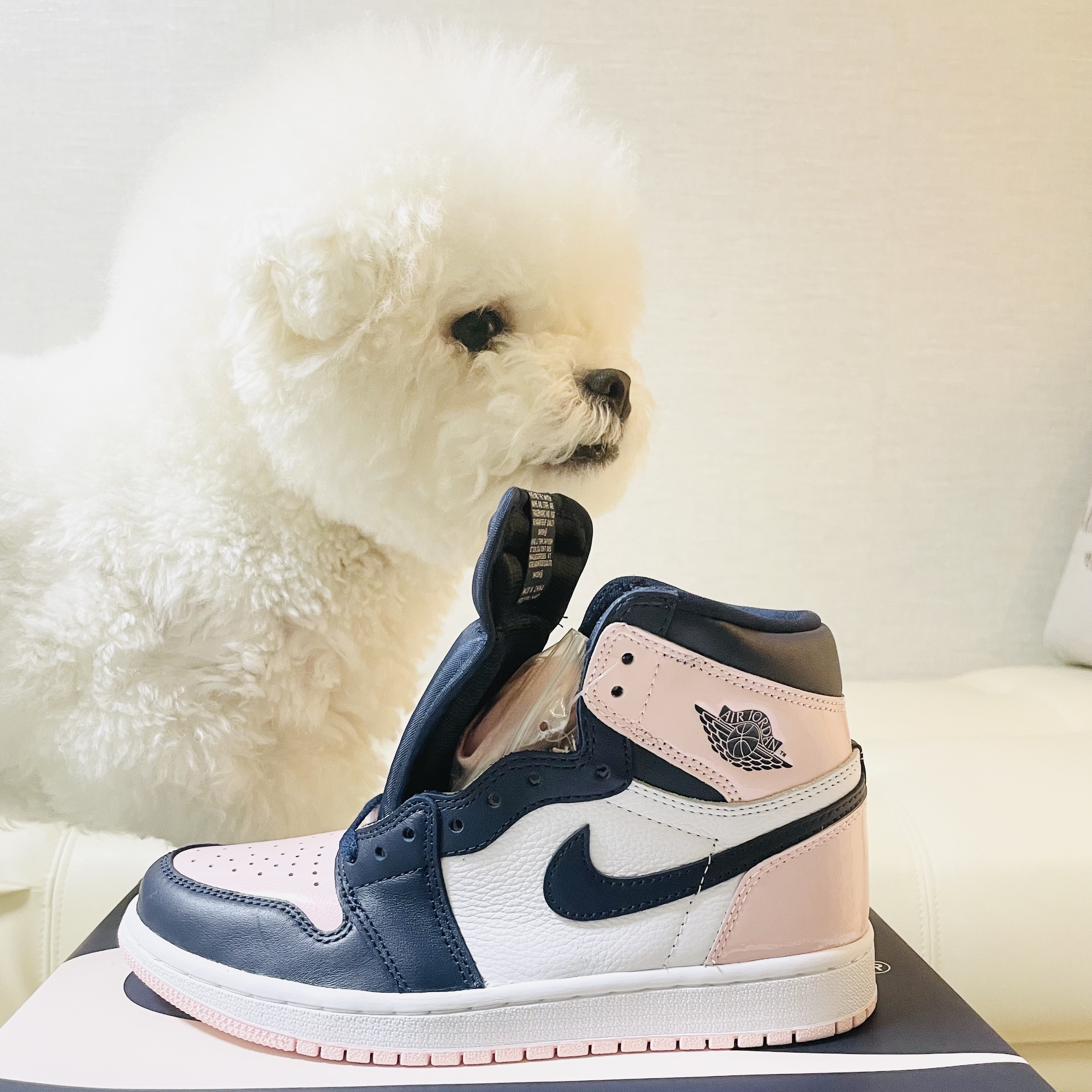 (W) Jordan 1 Retro High OG Atmosphere 착용 스타일