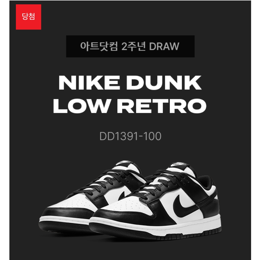 Nike Dunk Low Retro Black 착용 스타일 - 2