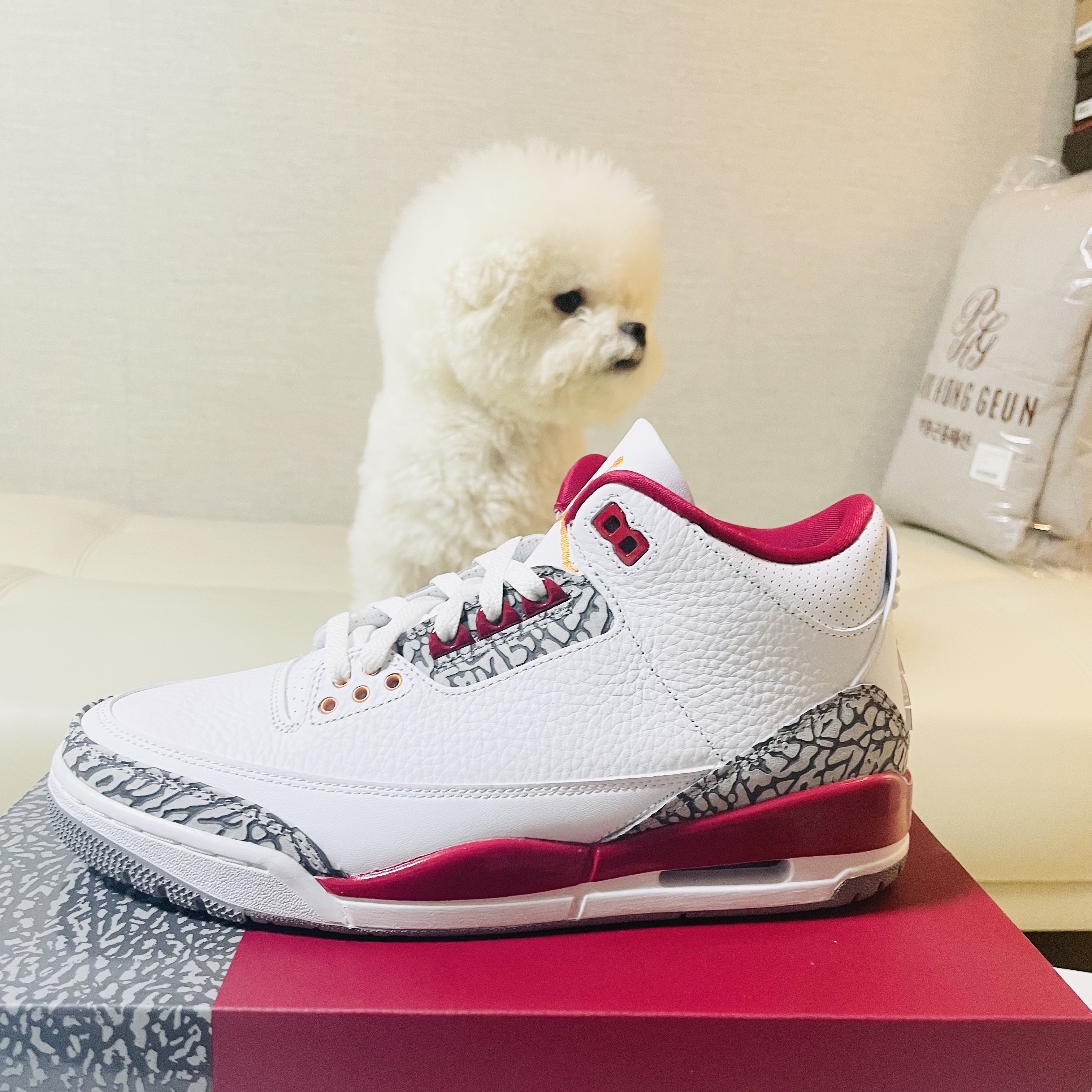 Jordan 3 Retro Cardinal Red 착용 스타일