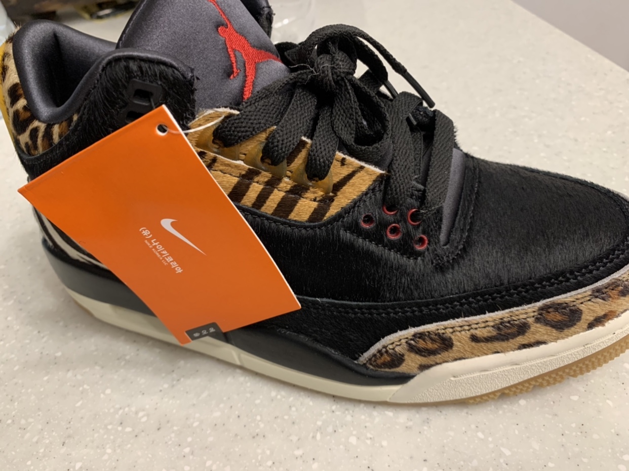 Jordan 3 Retro SE Animal Instinct 착용 스타일