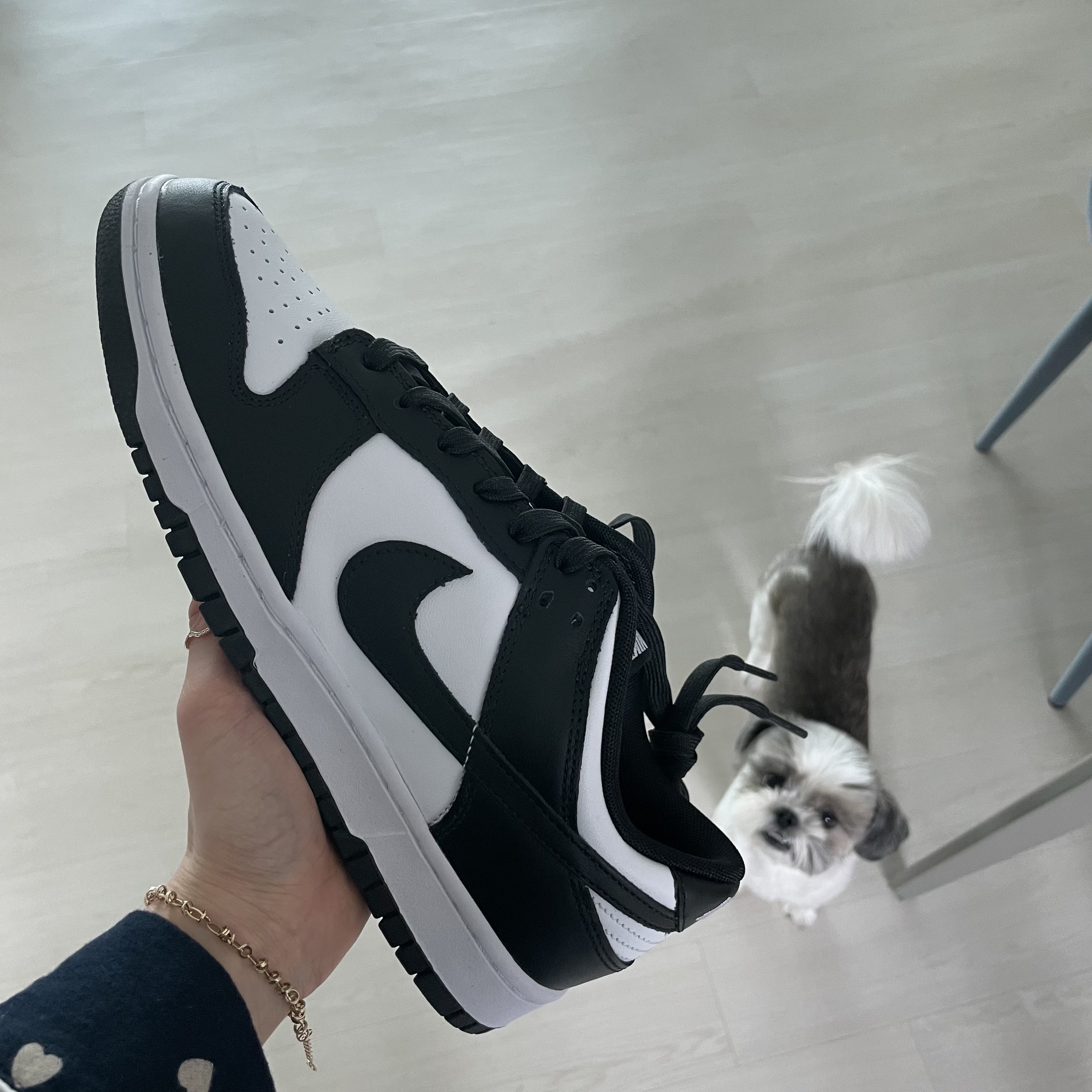 Nike Dunk Low Retro Black 착용 스타일