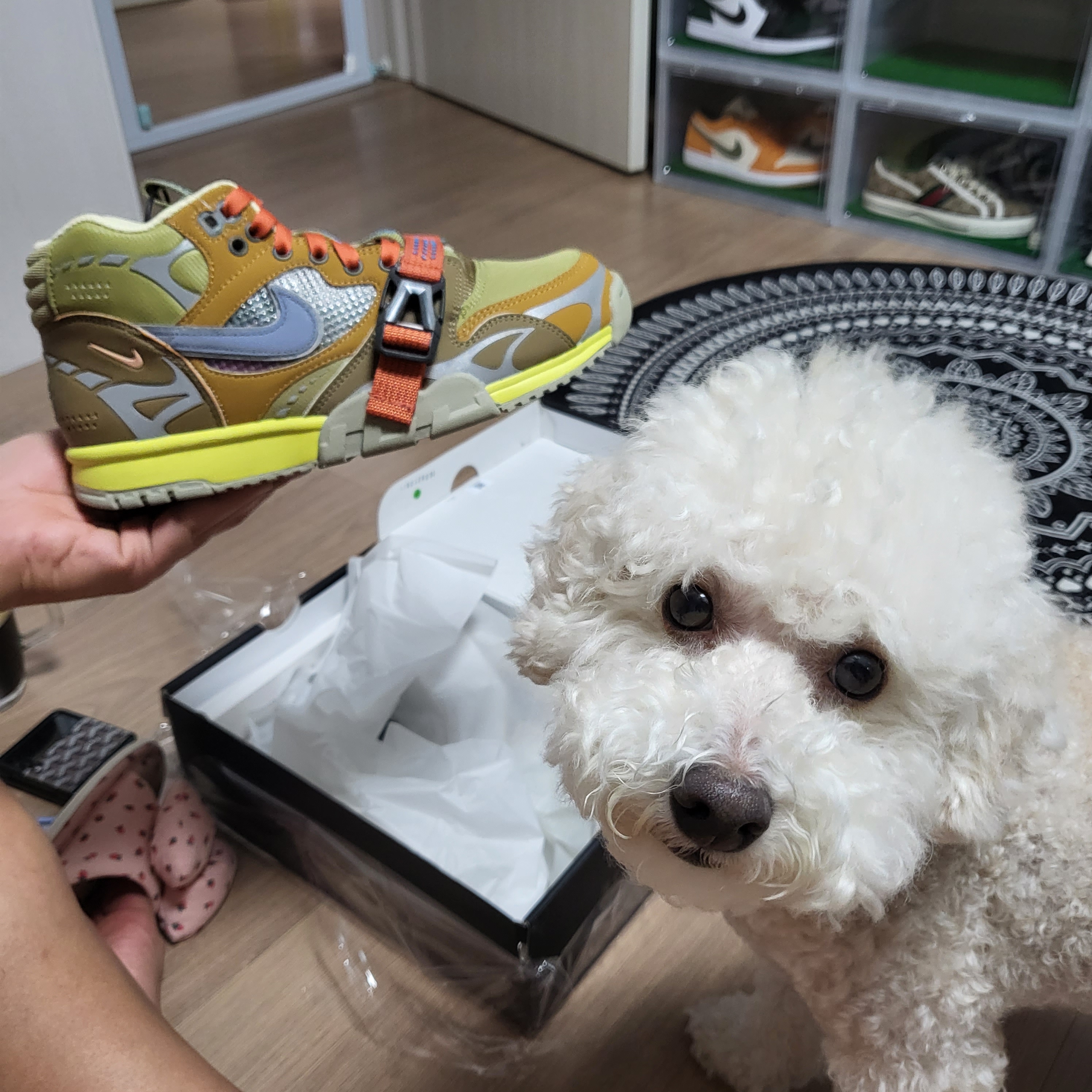 Nike Air Trainer 1 SP Coriander 착용 스타일 - 2