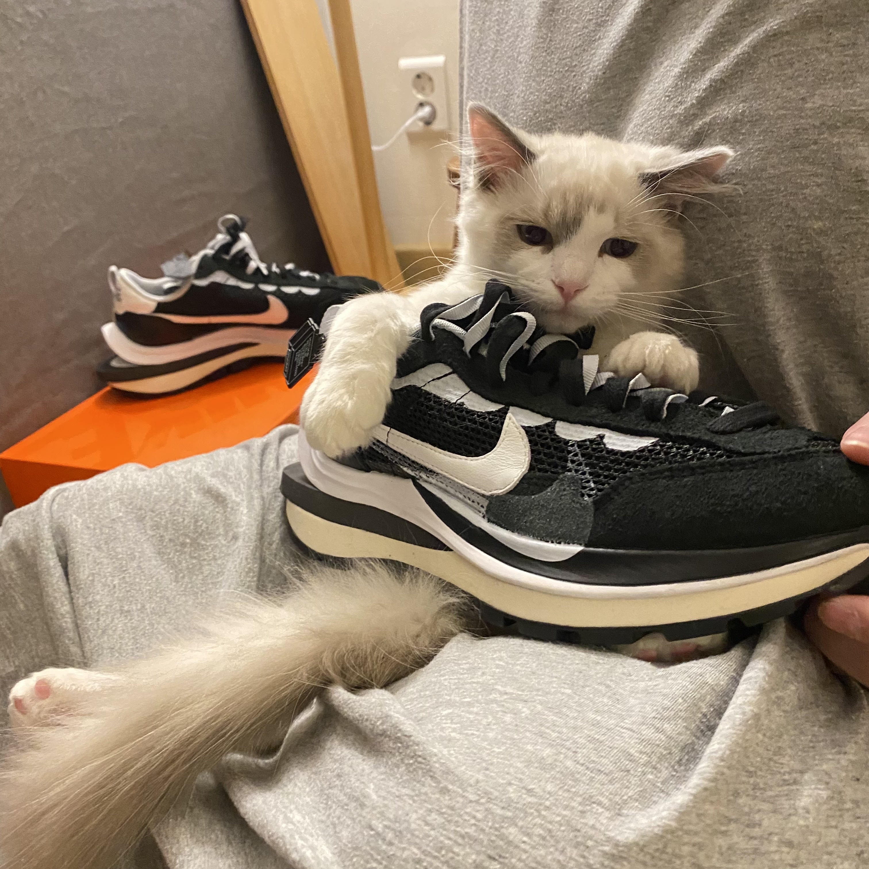 Nike x Sacai VaporWaffle Black White, (W) Jordan 1 Low White Wolf Grey 착용 스타일 - 1