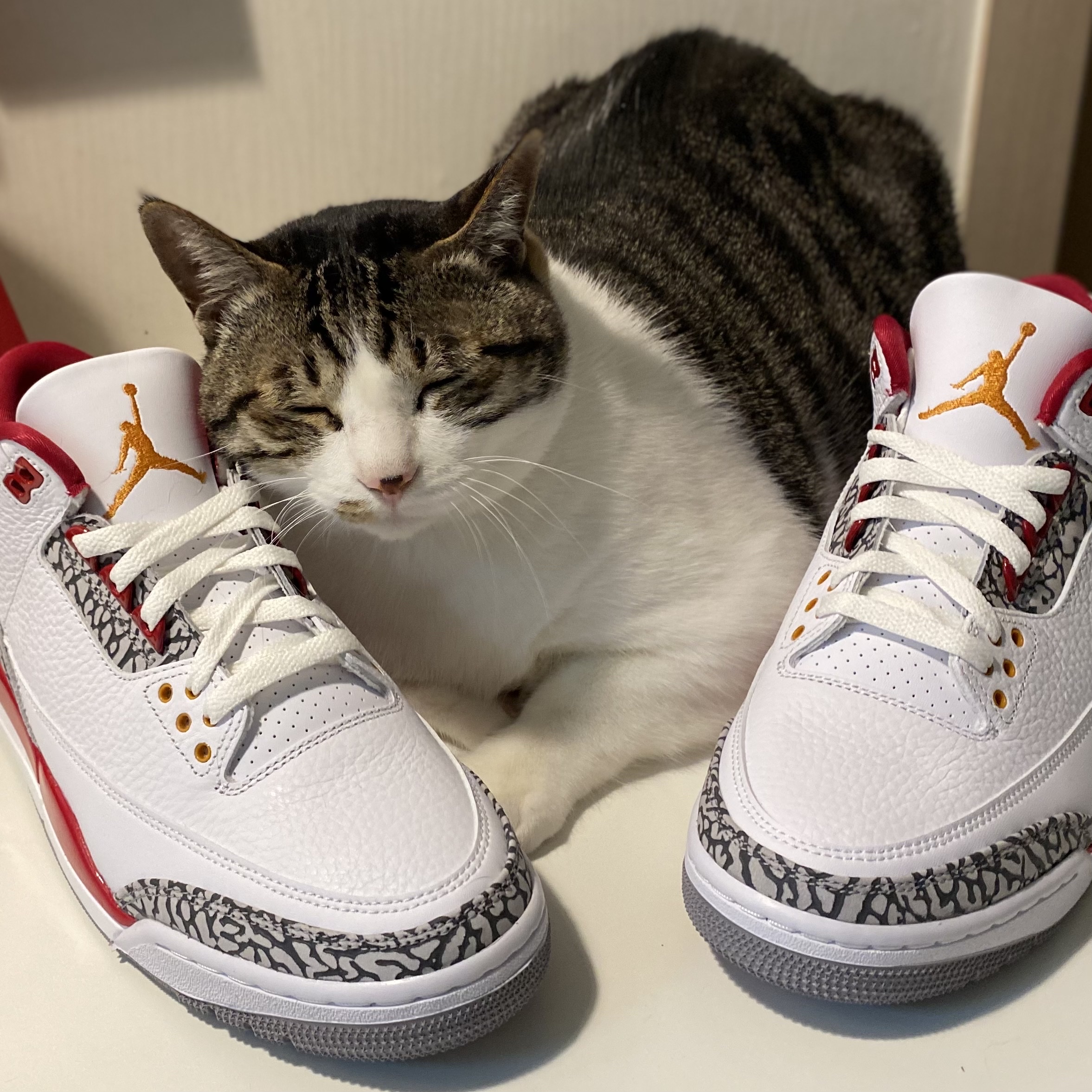 Jordan 3 Retro Cardinal Red 착용 스타일 - 4