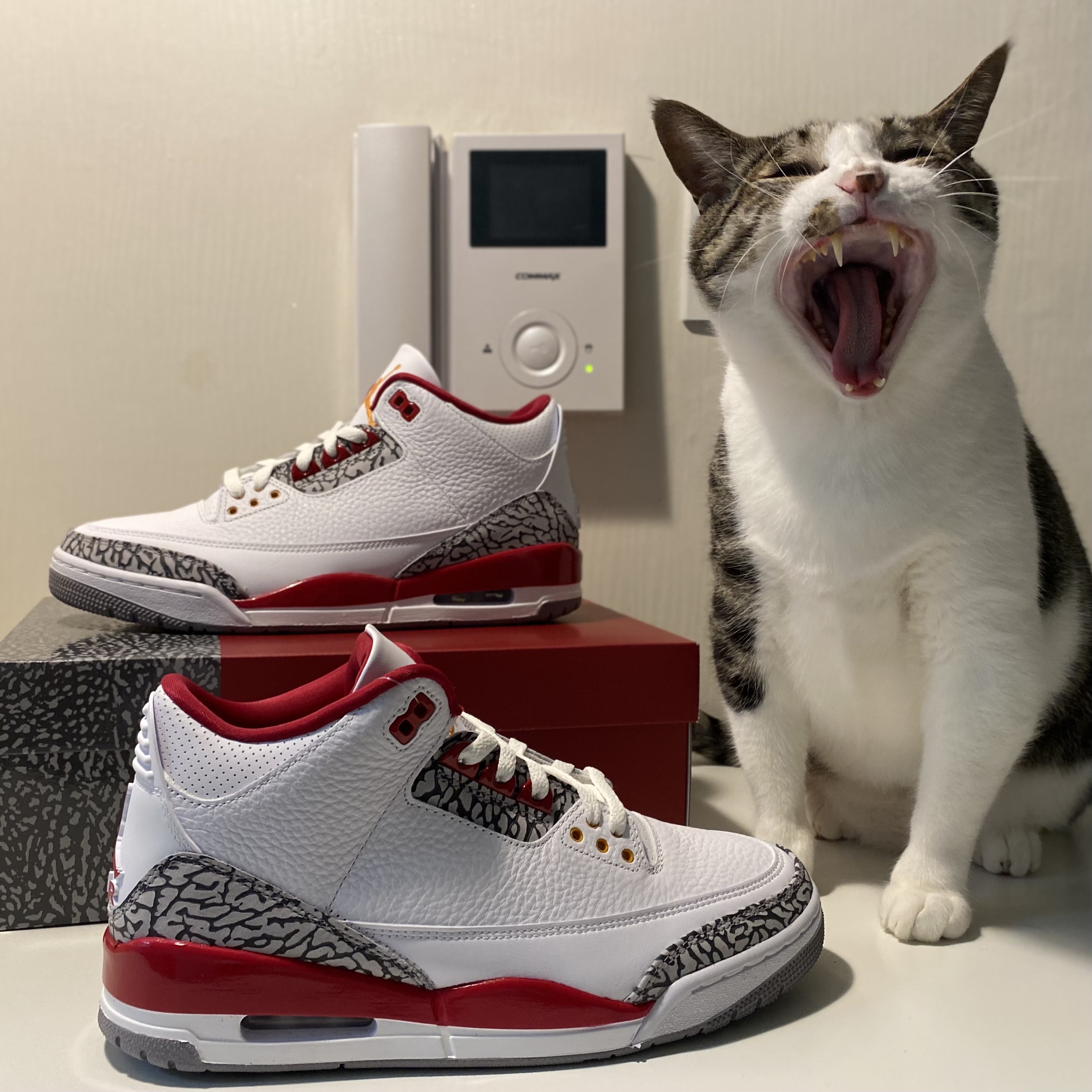 Jordan 3 Retro Cardinal Red 착용 스타일 - 1