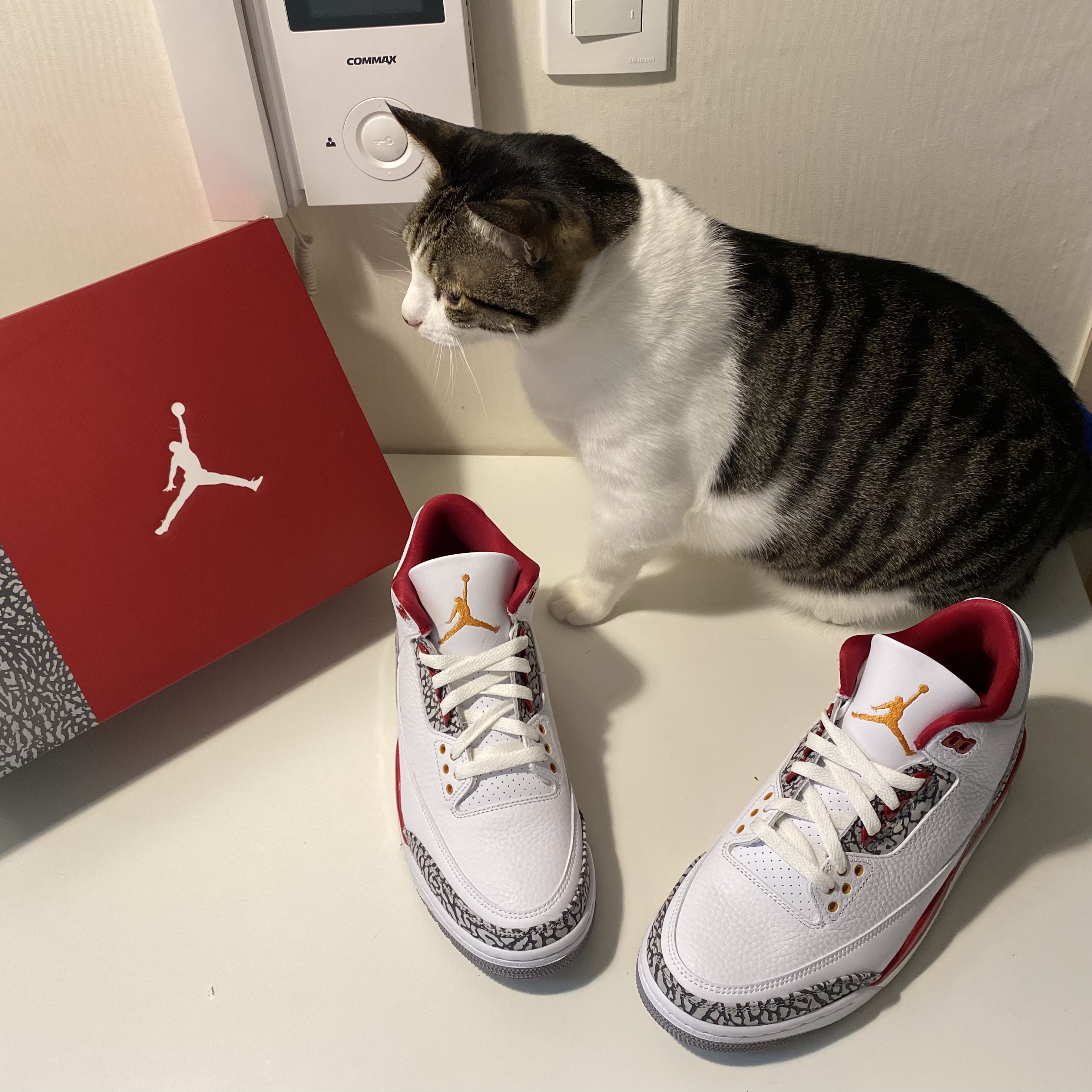 Jordan 3 Retro Cardinal Red 착용 스타일 - 3