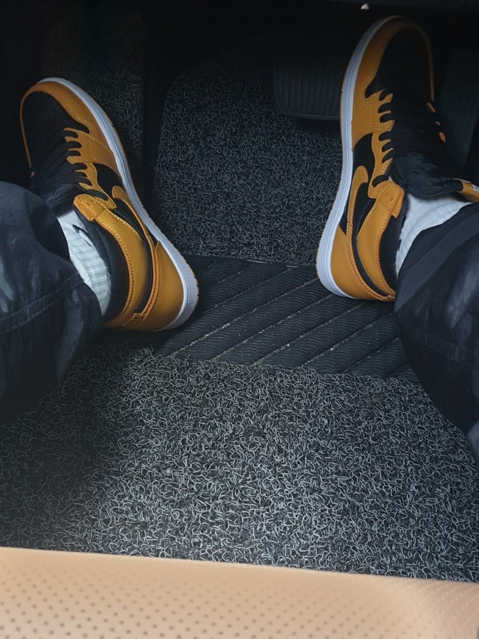 Jordan 1 Retro High OG Pollen 착용 스타일