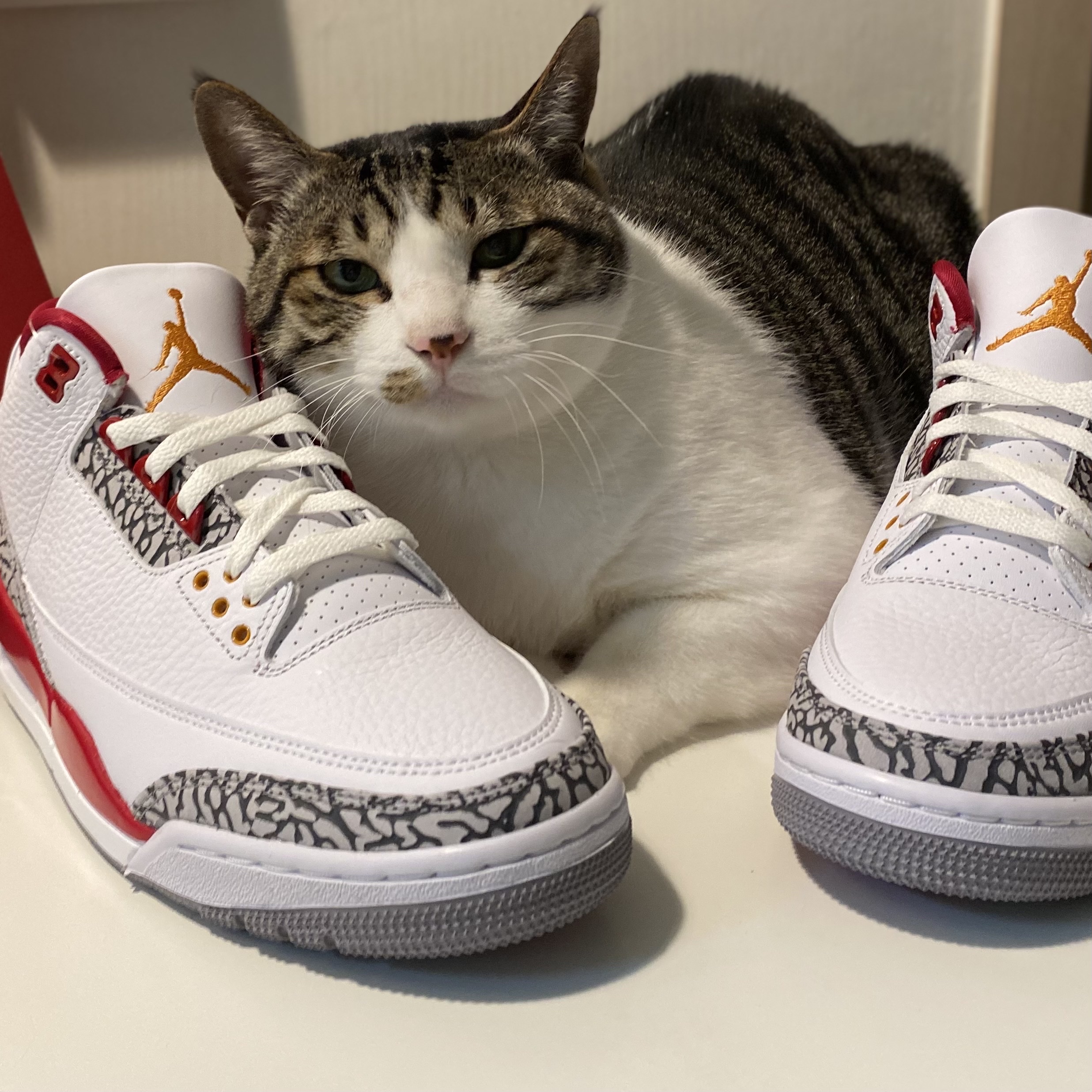 Jordan 3 Retro Cardinal Red 착용 스타일 - 5