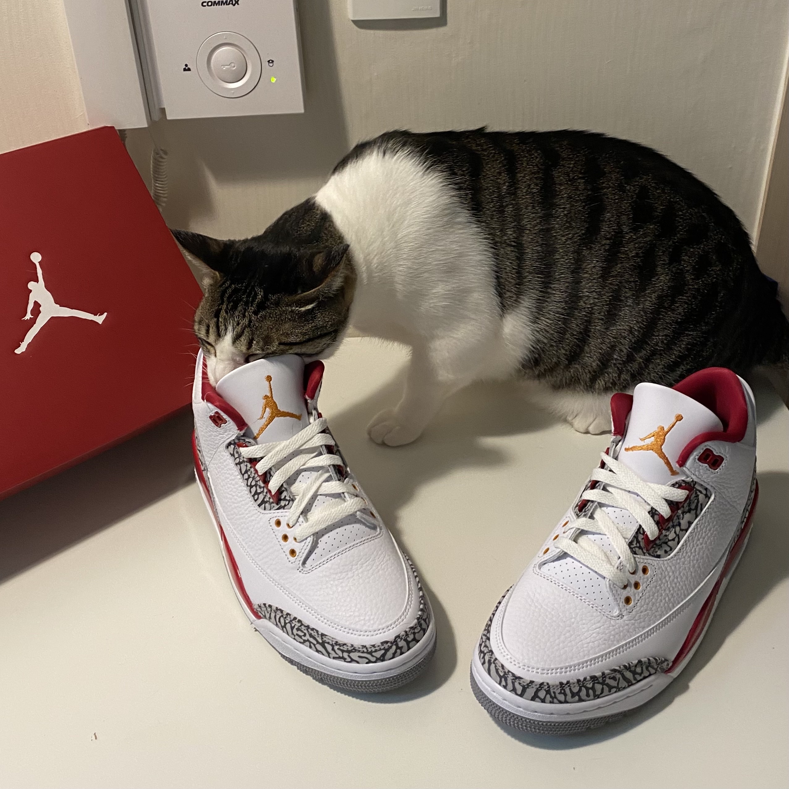Jordan 3 Retro Cardinal Red 착용 스타일 - 2
