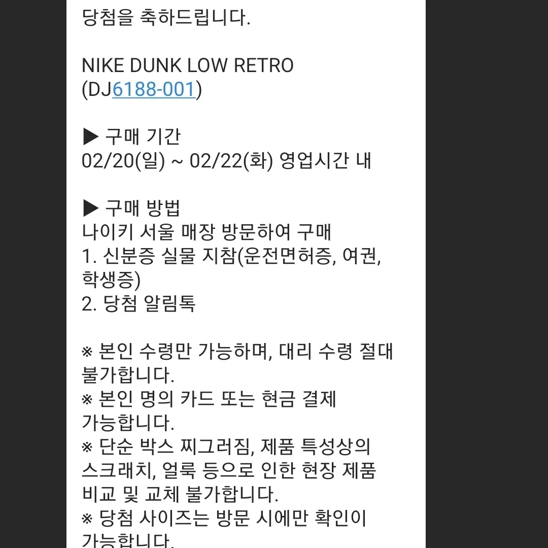 Nike Dunk Low Retro Wolf Grey 착용 스타일 - 2