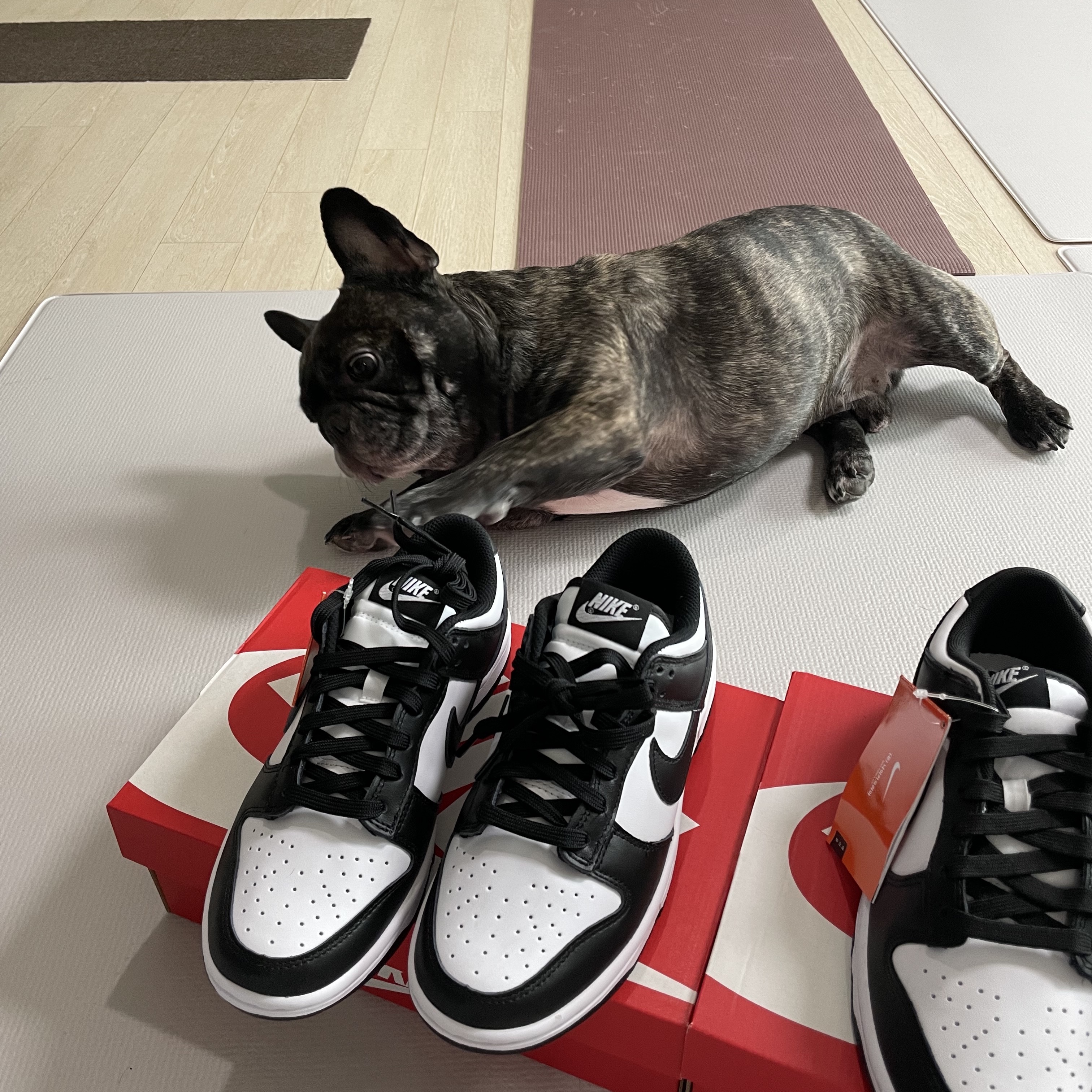 Nike Dunk Low Retro Black, (W) Nike Dunk Low Black 착용 스타일