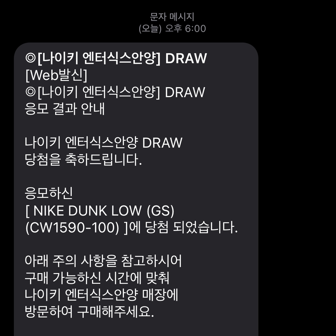 (W) Nike Dunk Low Black, Nike Dunk Low Retro Black 착용 스타일