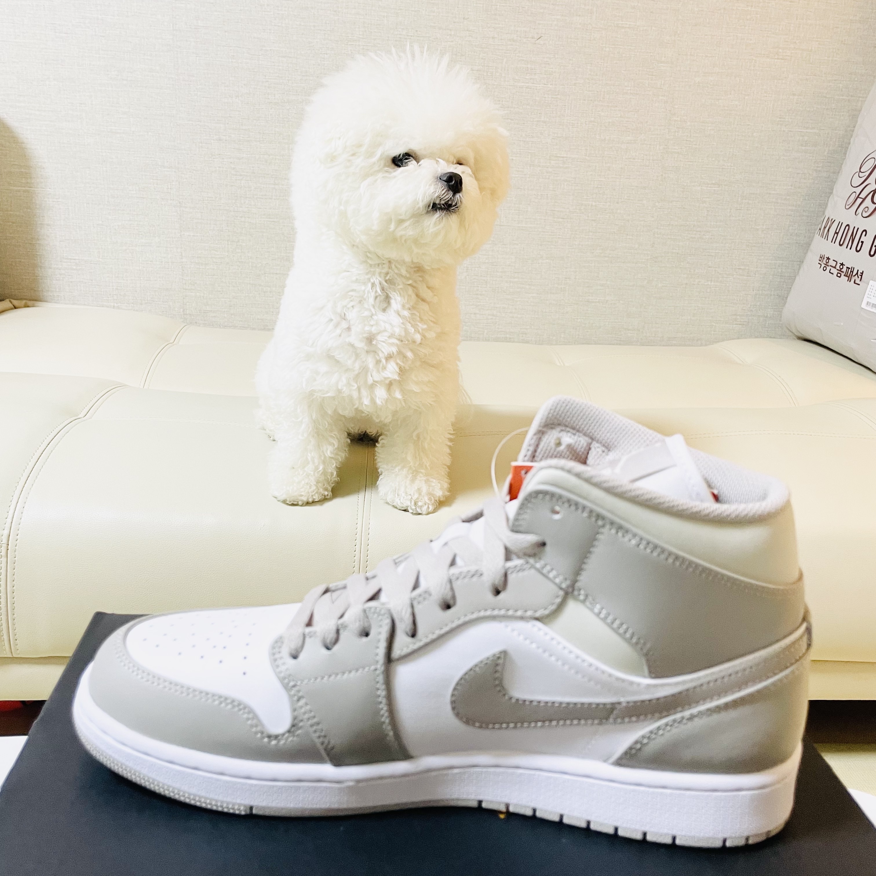 Jordan 1 Mid College Grey 착용 스타일