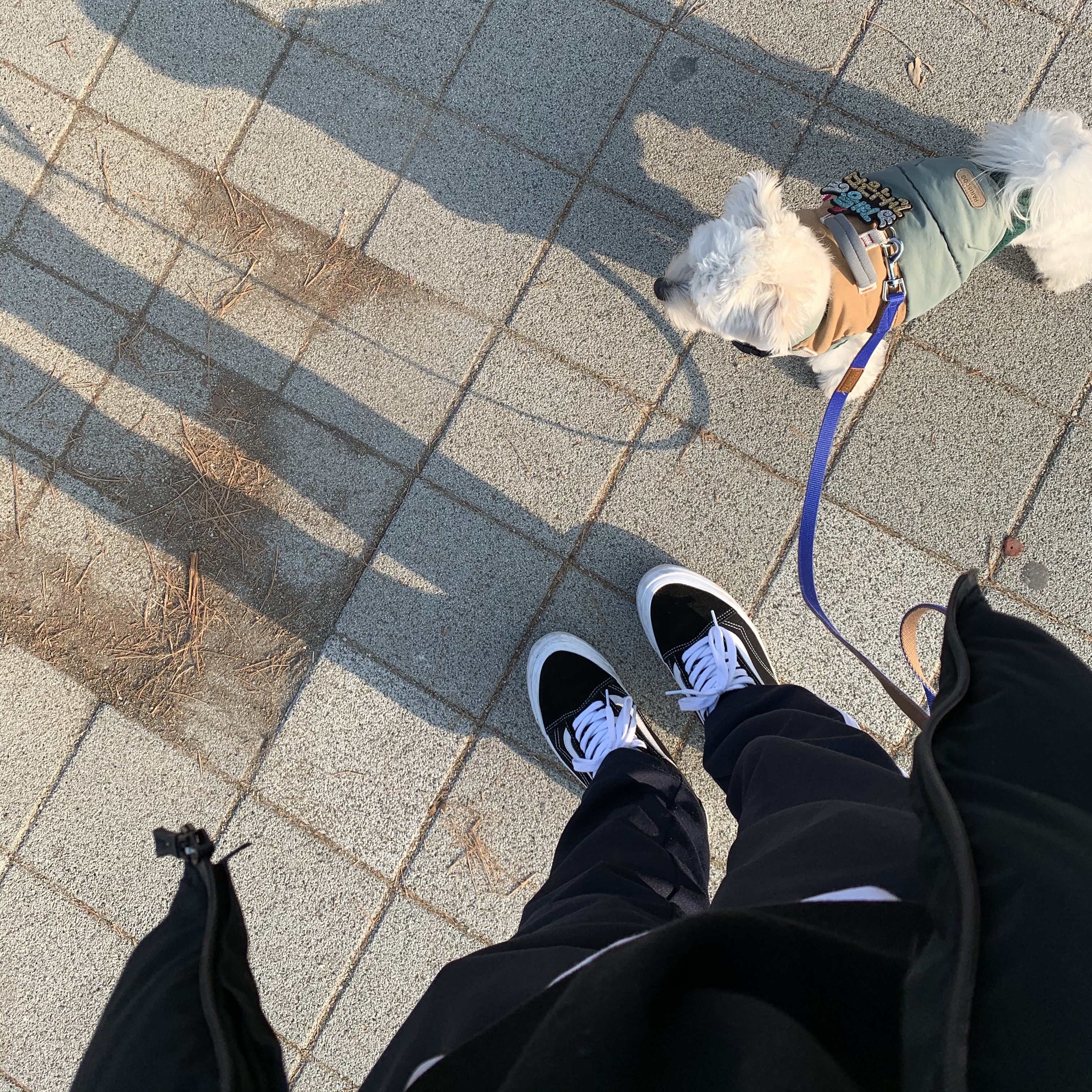 Vans Vault OG Old Skool LX Black 착용 스타일