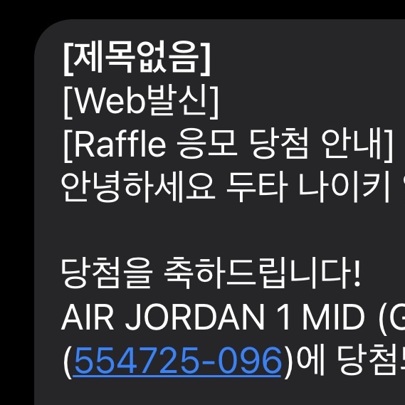 (GS) Jordan 1 Mid Shadow 착용 스타일 - 2