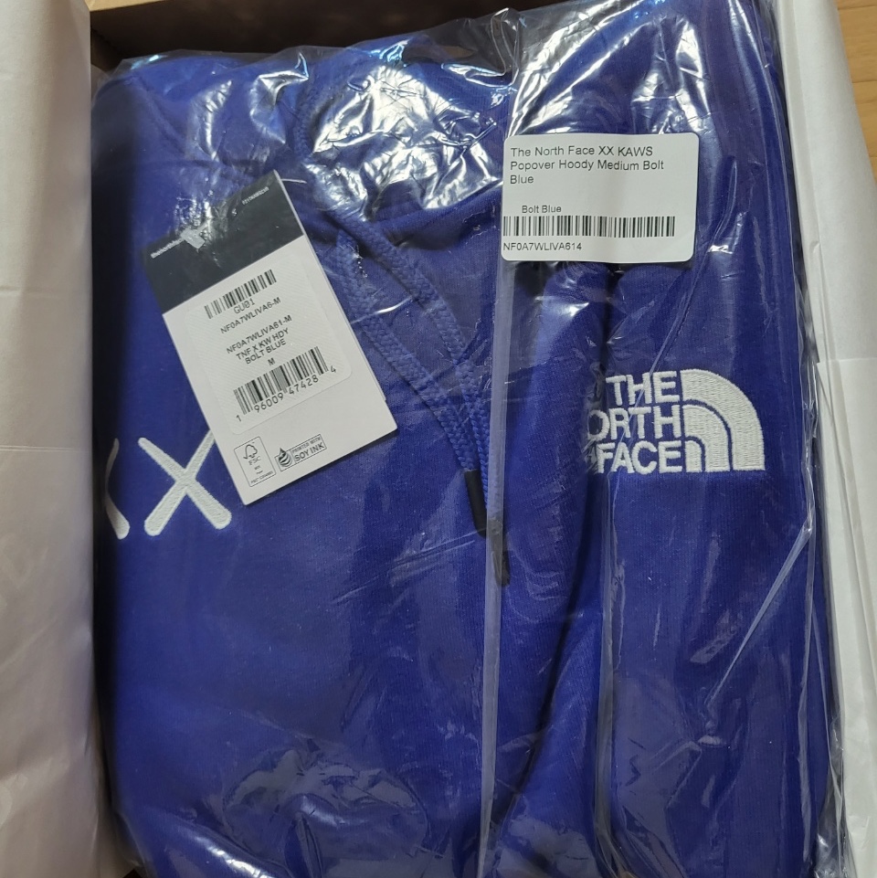 The North Face x Kaws Popover Hoodie Bolt Blue 착용 스타일