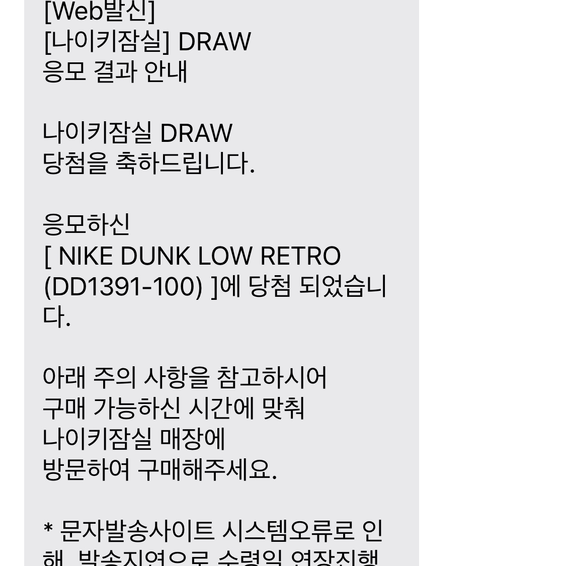 Nike Dunk Low Retro Black, (W) Nike Dunk Low Black 착용 스타일
