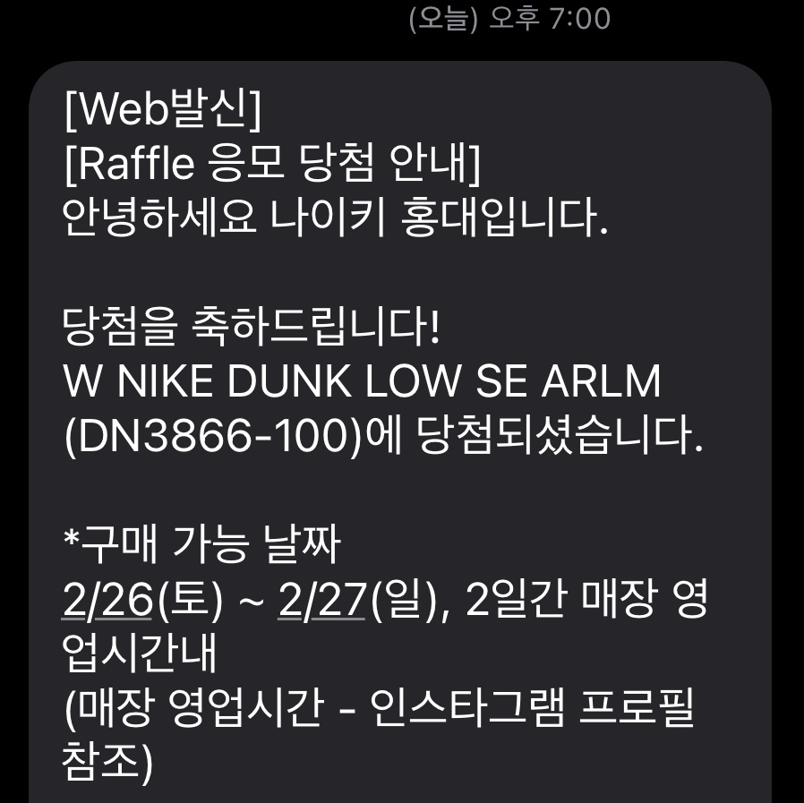 (W) Nike Dunk Low SE Patchwork 착용 스타일